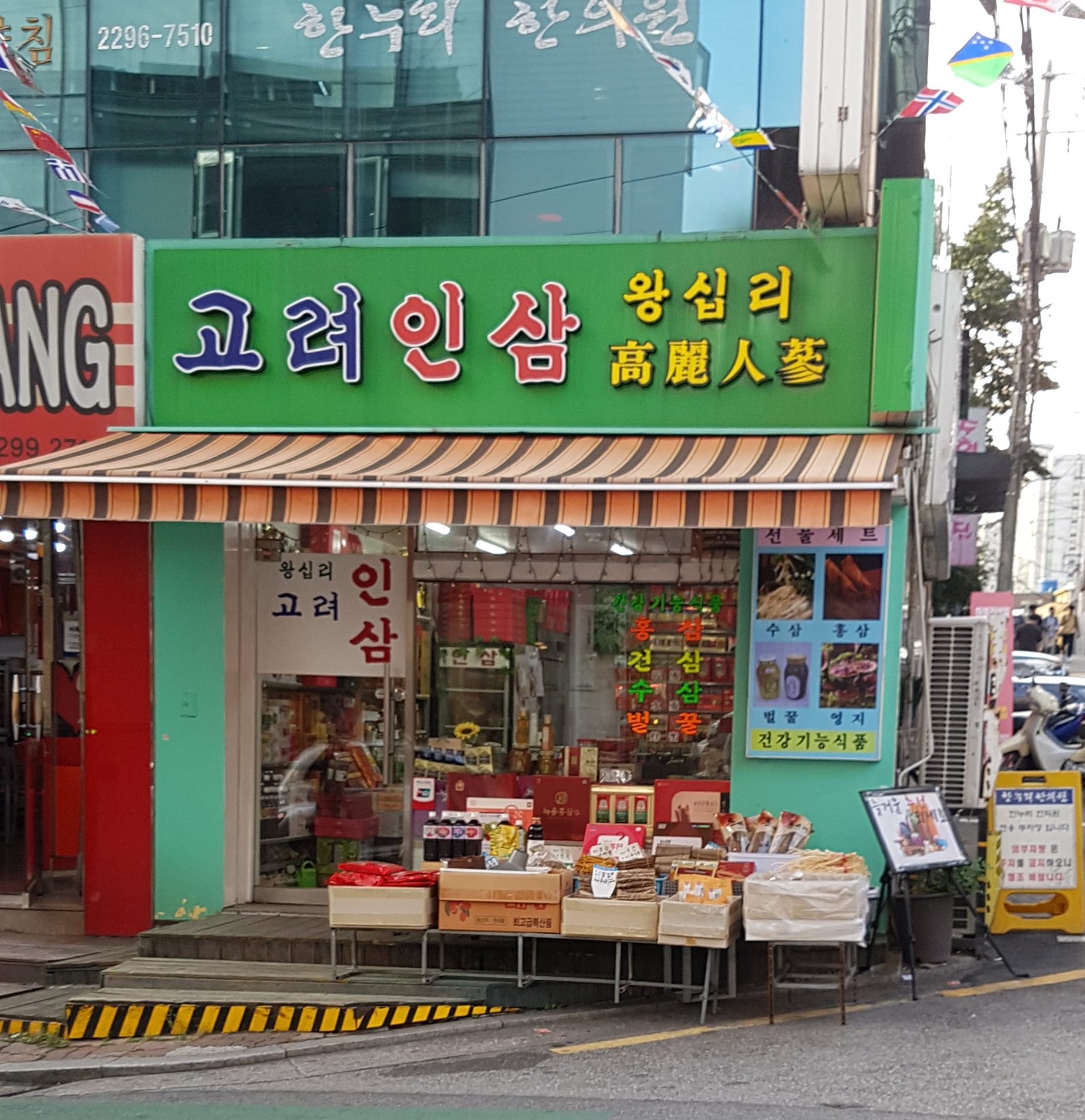 고려인삼