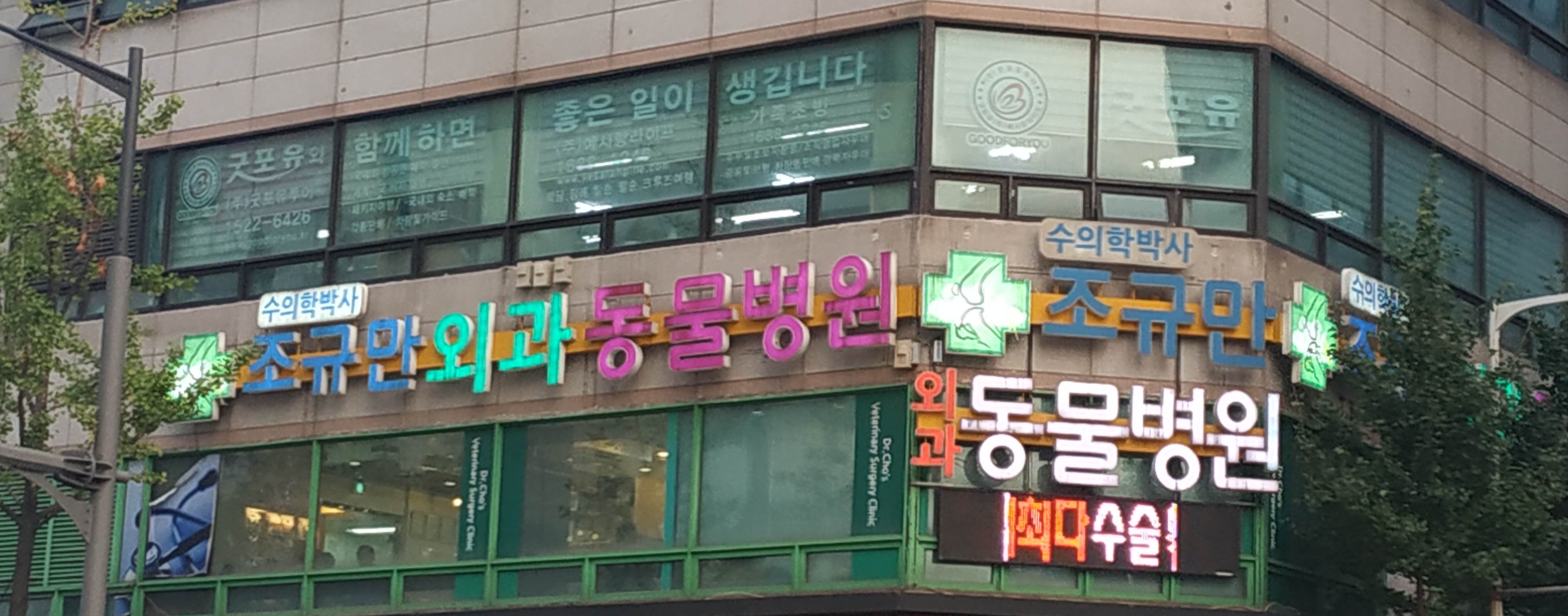 조규만외과동물병원 내부 또는 관련 모습