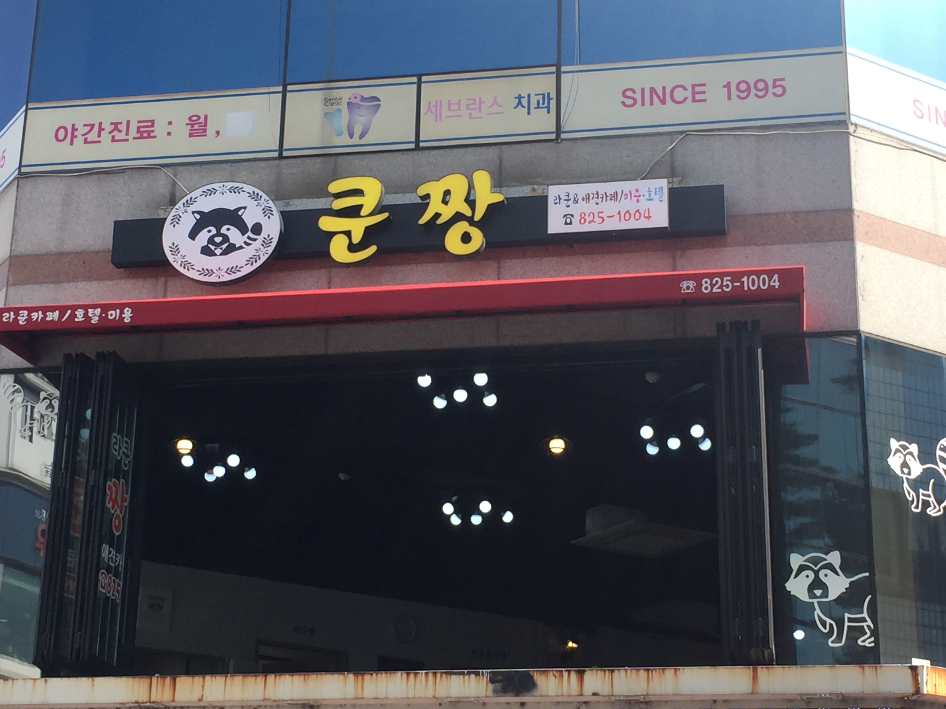 쿤짱 경기 애견맛집
