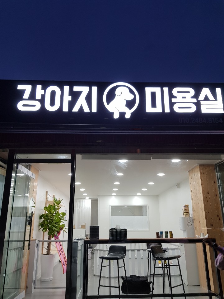 강아지미용실 대표 이미지