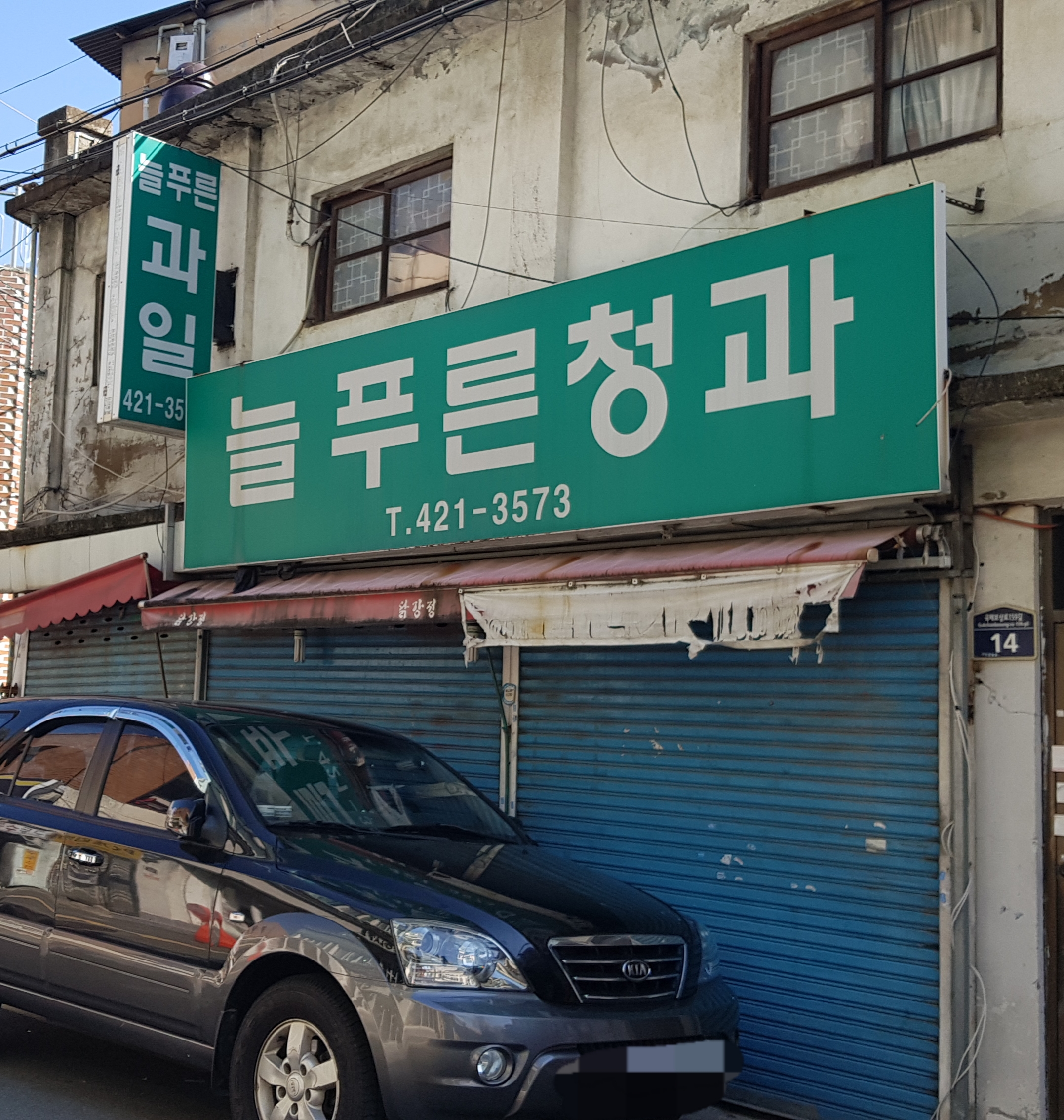 늘푸른청과