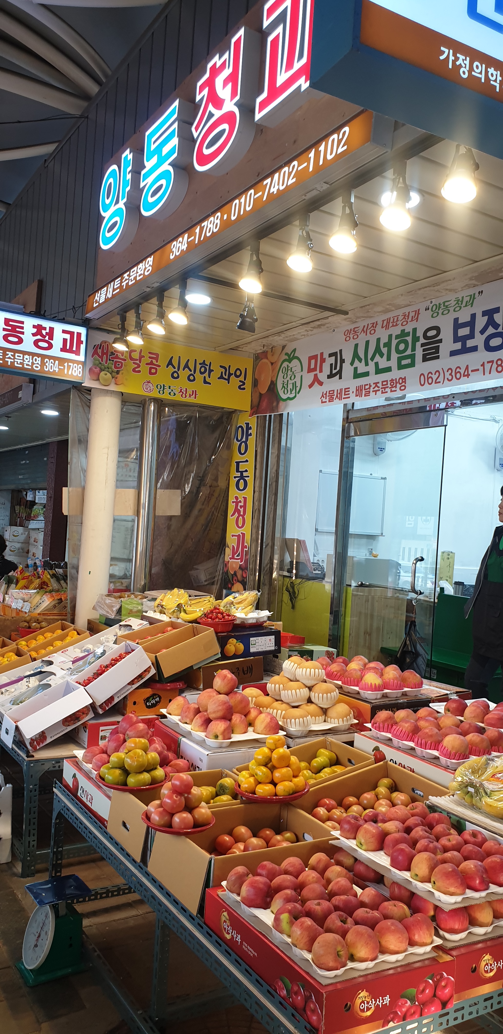 양동청과