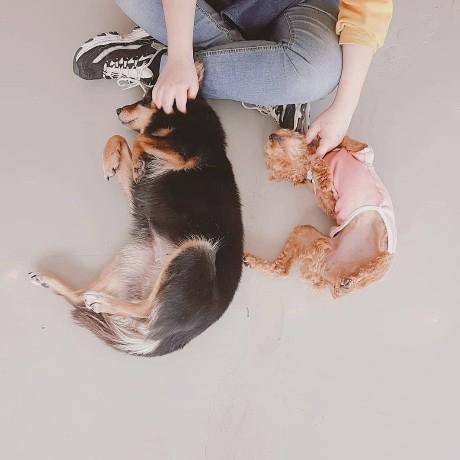 이미지