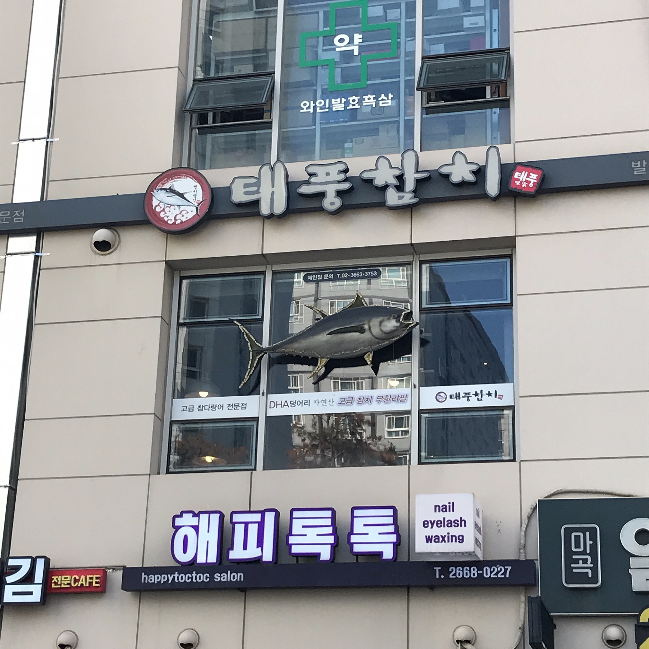 태풍참치
