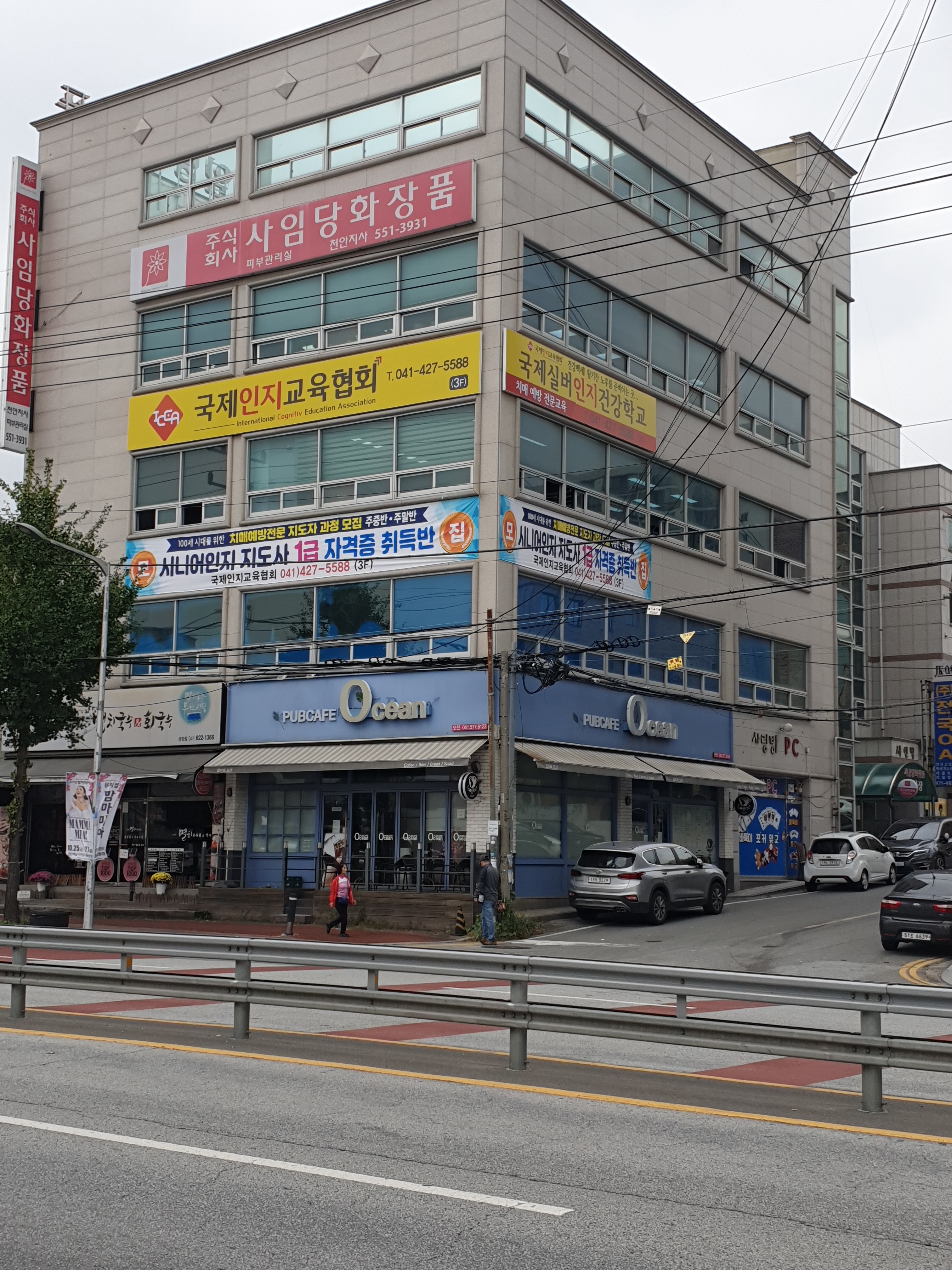 국제인지교육협회
