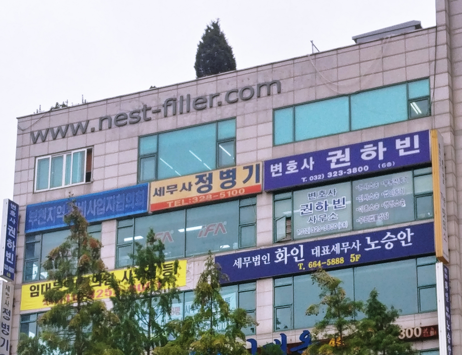 세무법인화인부천지점