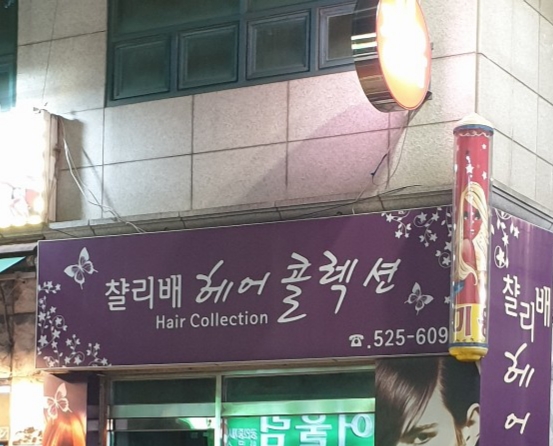 챨리배헤어콜렉션