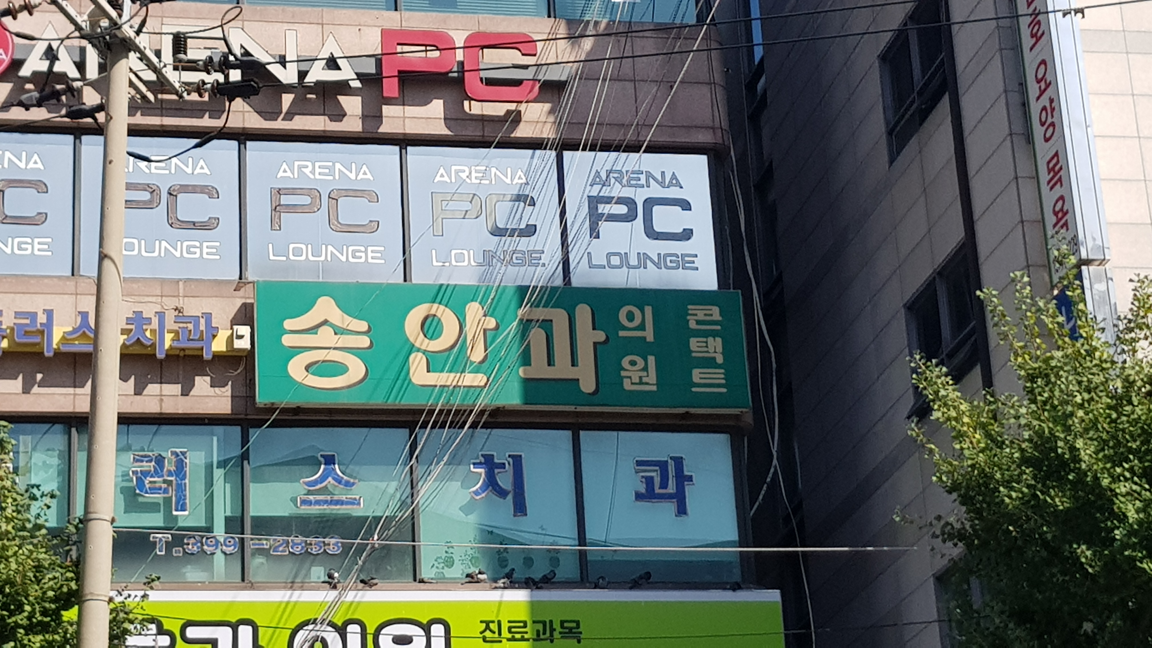 송안과의원 대표 이미지