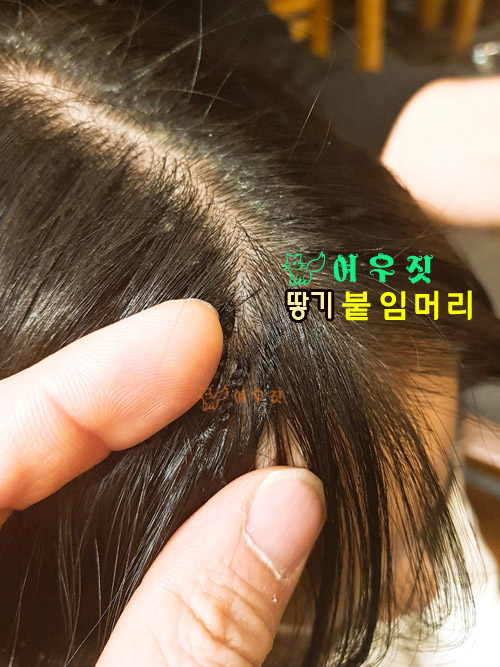 여우짓 붙임머리