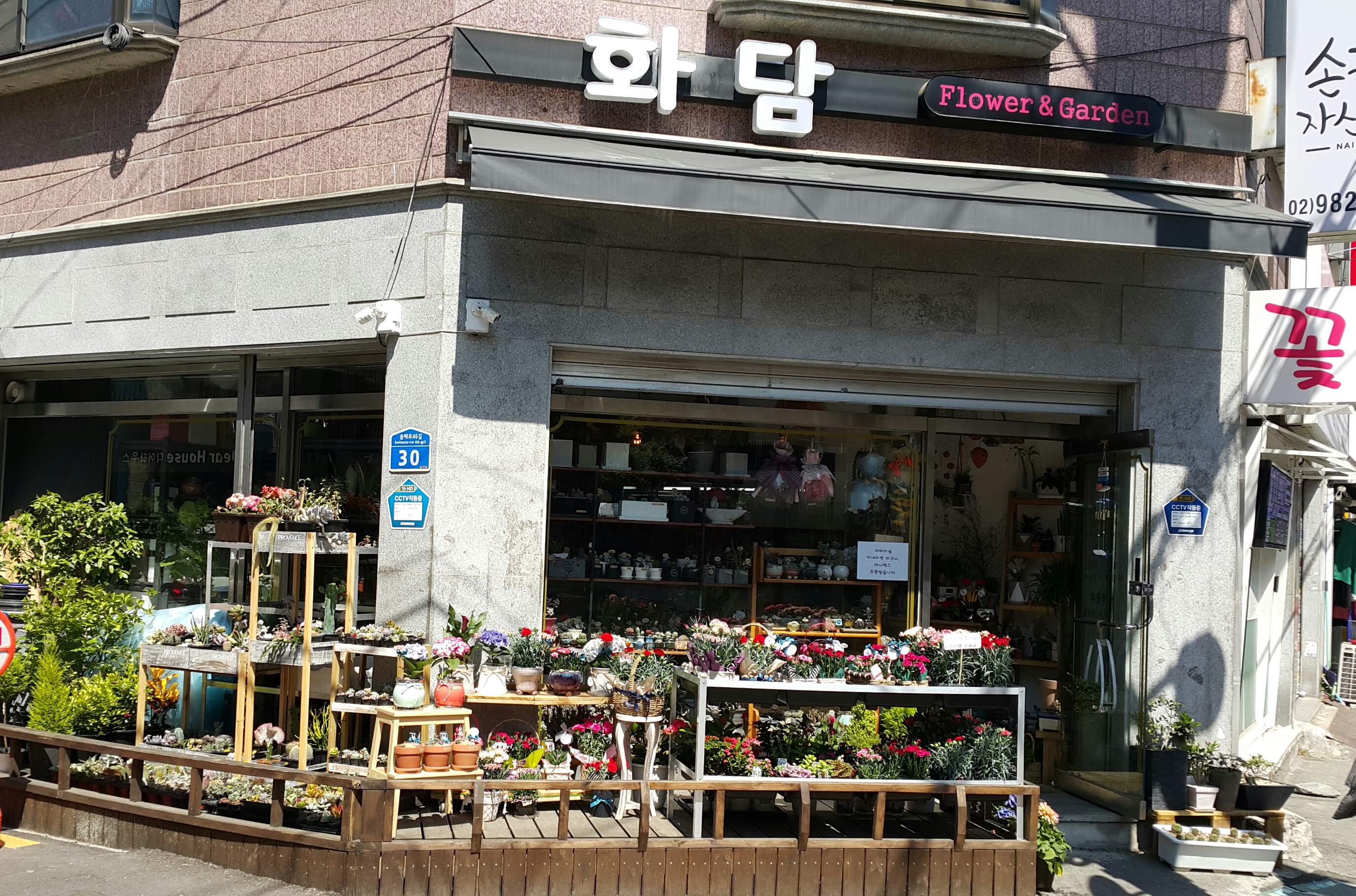 화담