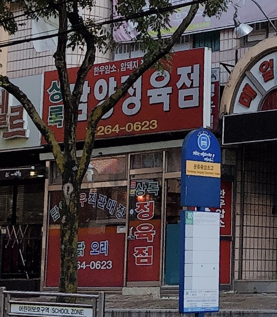 상록담양정육점