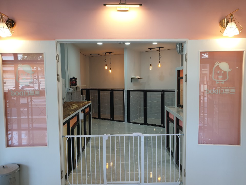 트루디독 대표 이미지