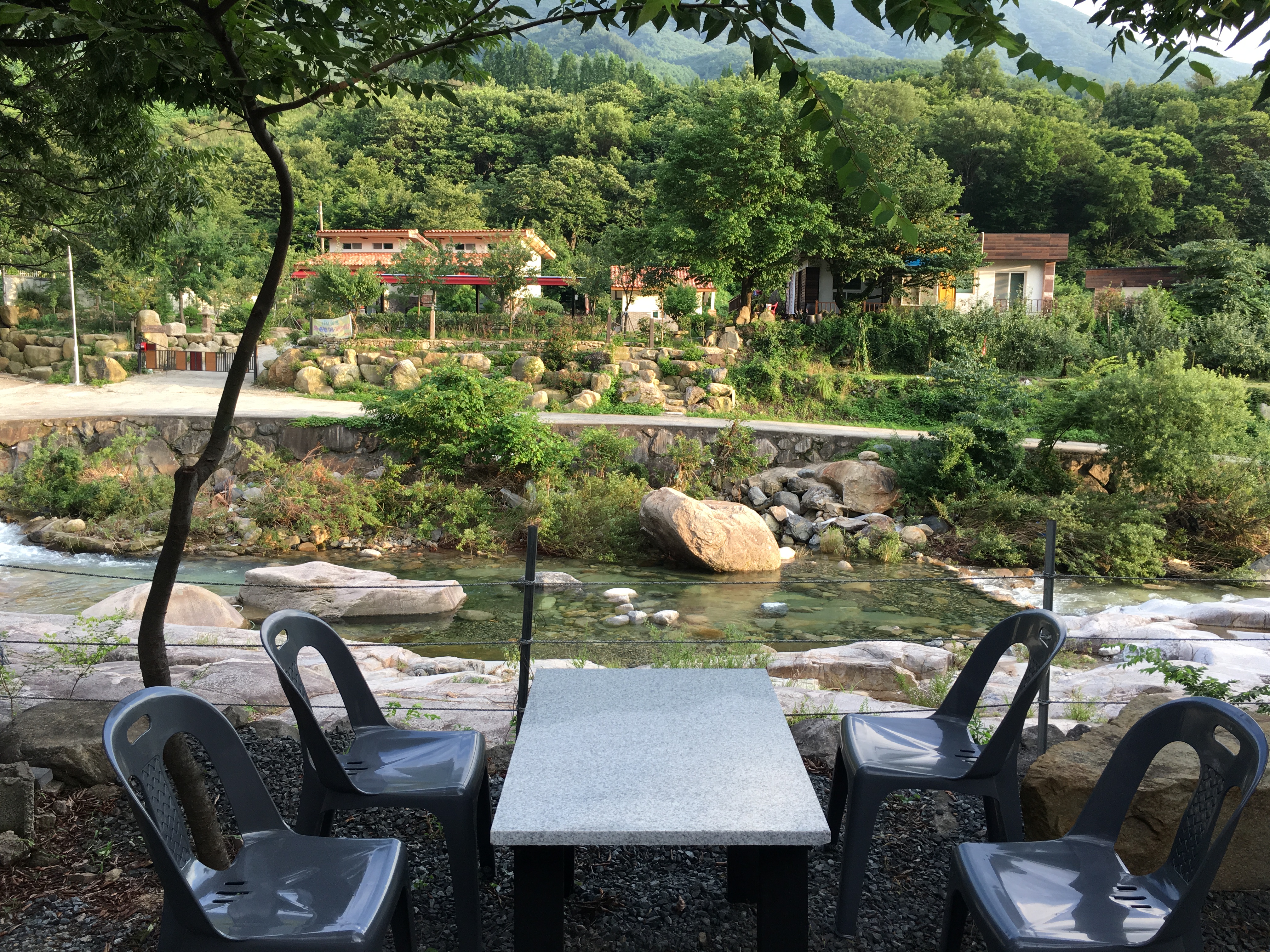 온더밸리 경상 애견카페