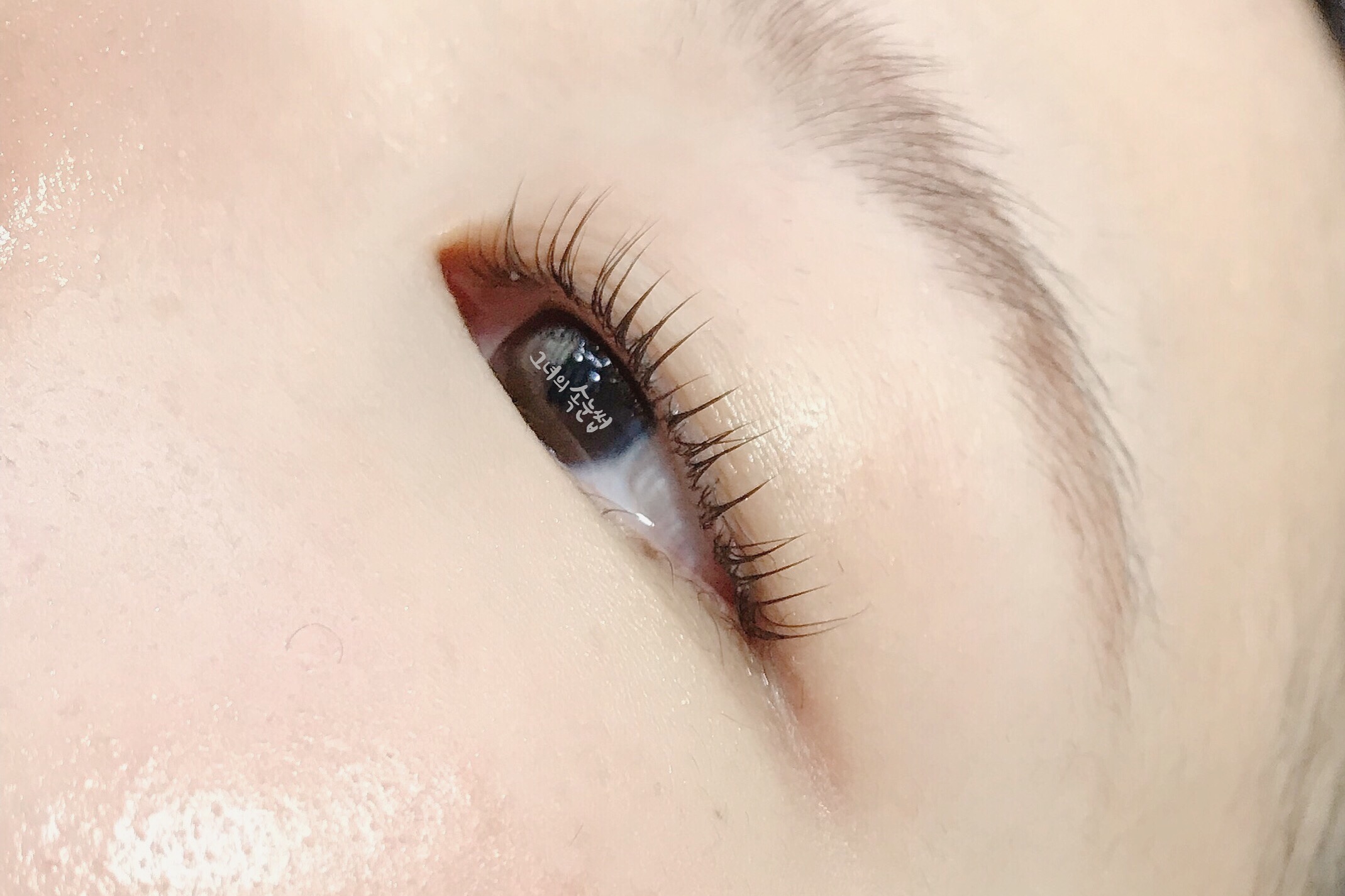그녀의 속눈썹