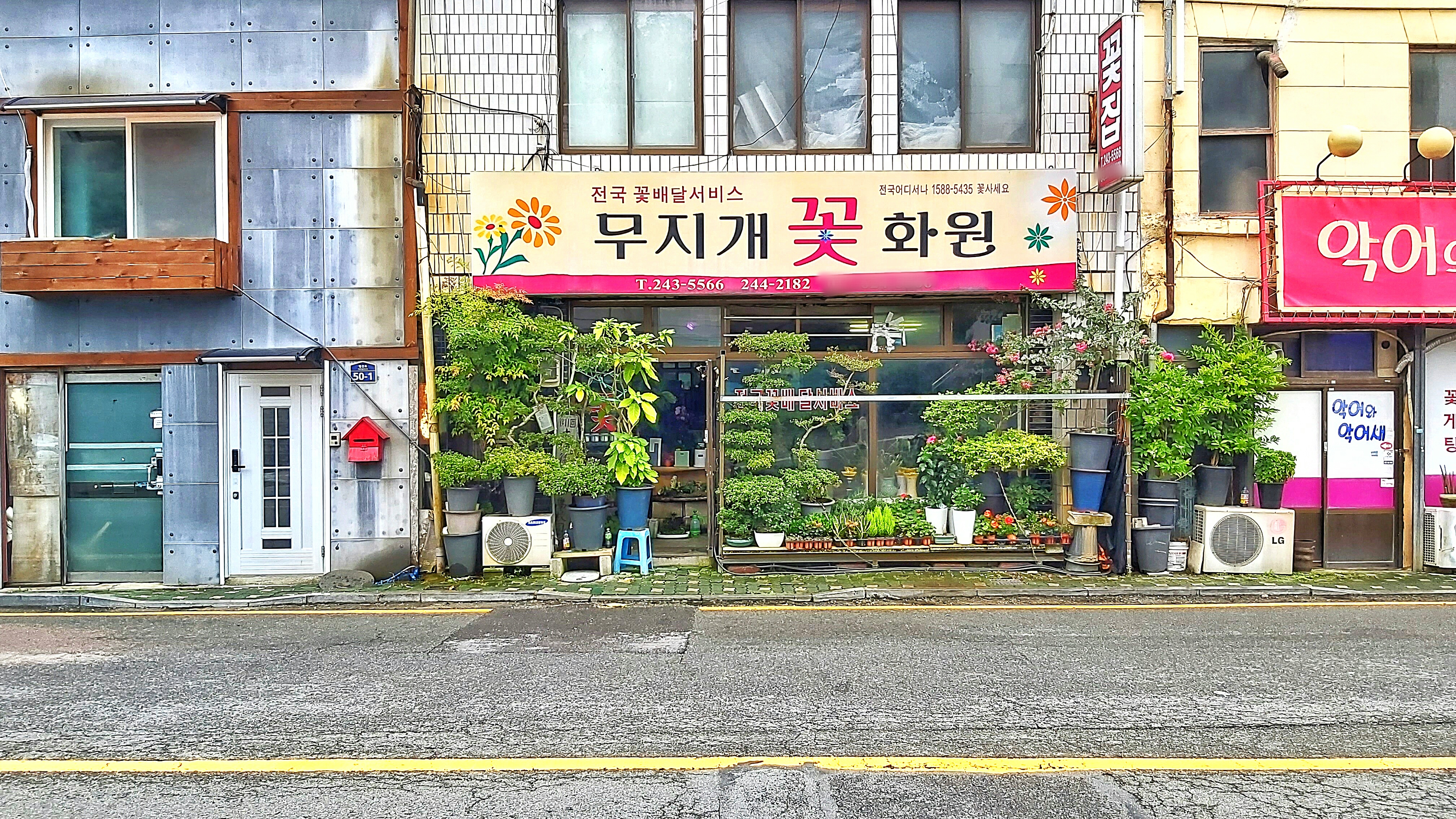 무지개화원
