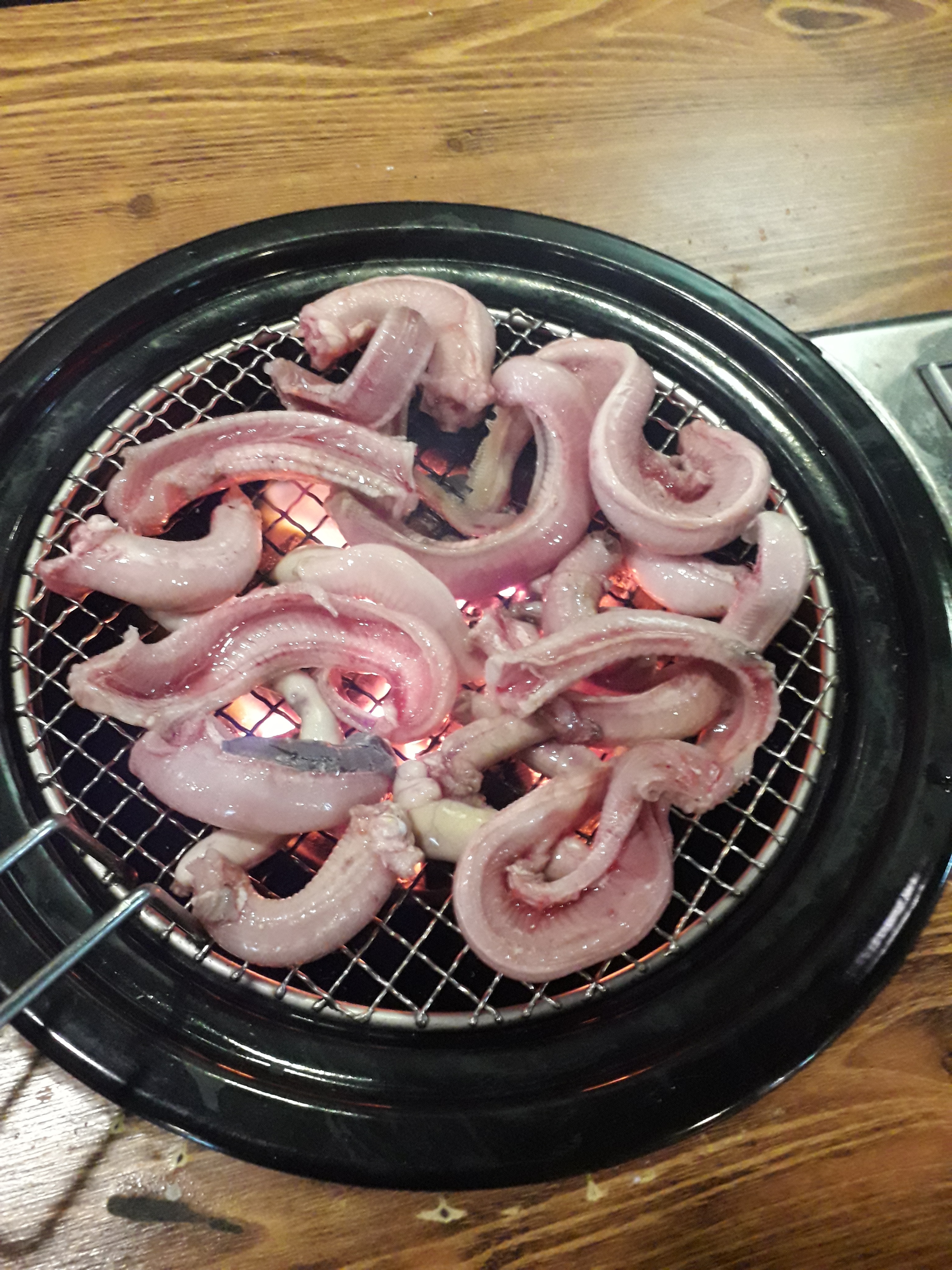 기장새벽산꼼장어
