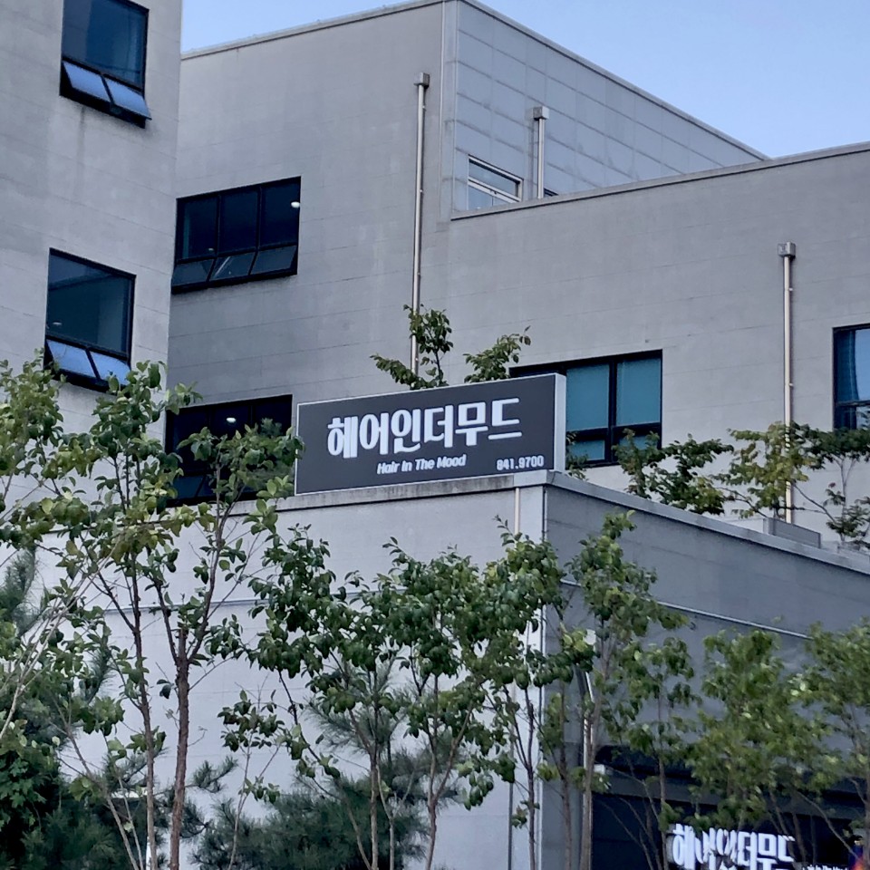 헤어인더무드