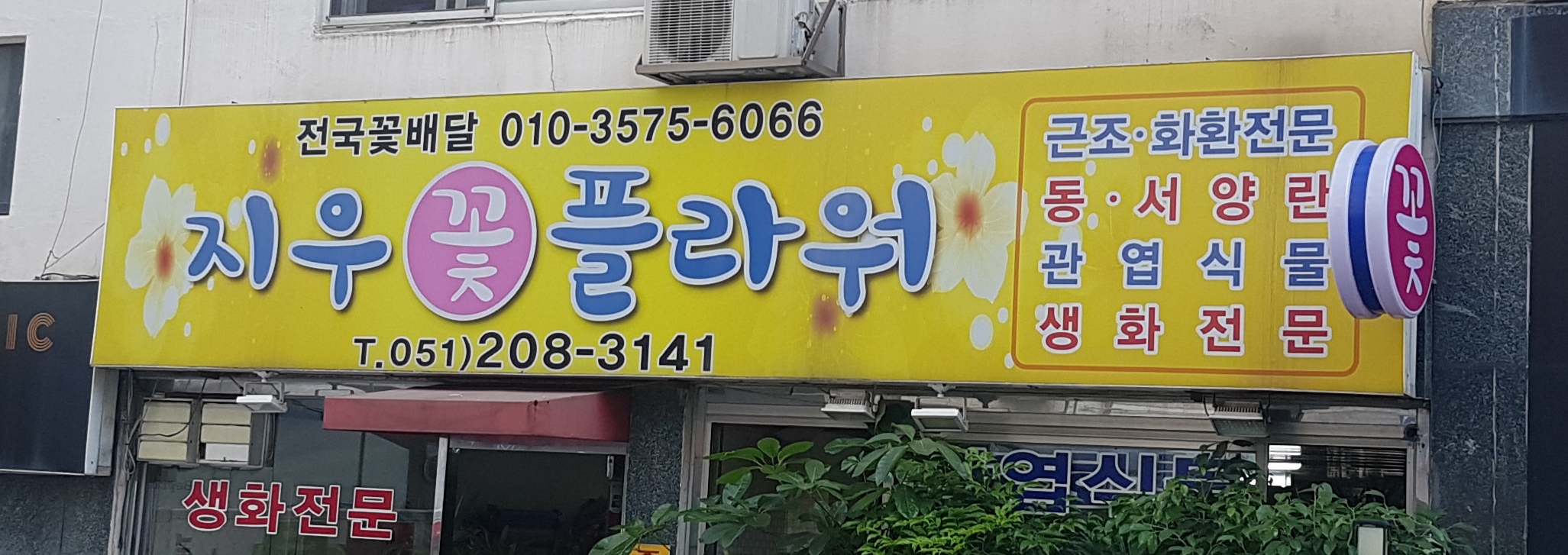 지우꽃플라워