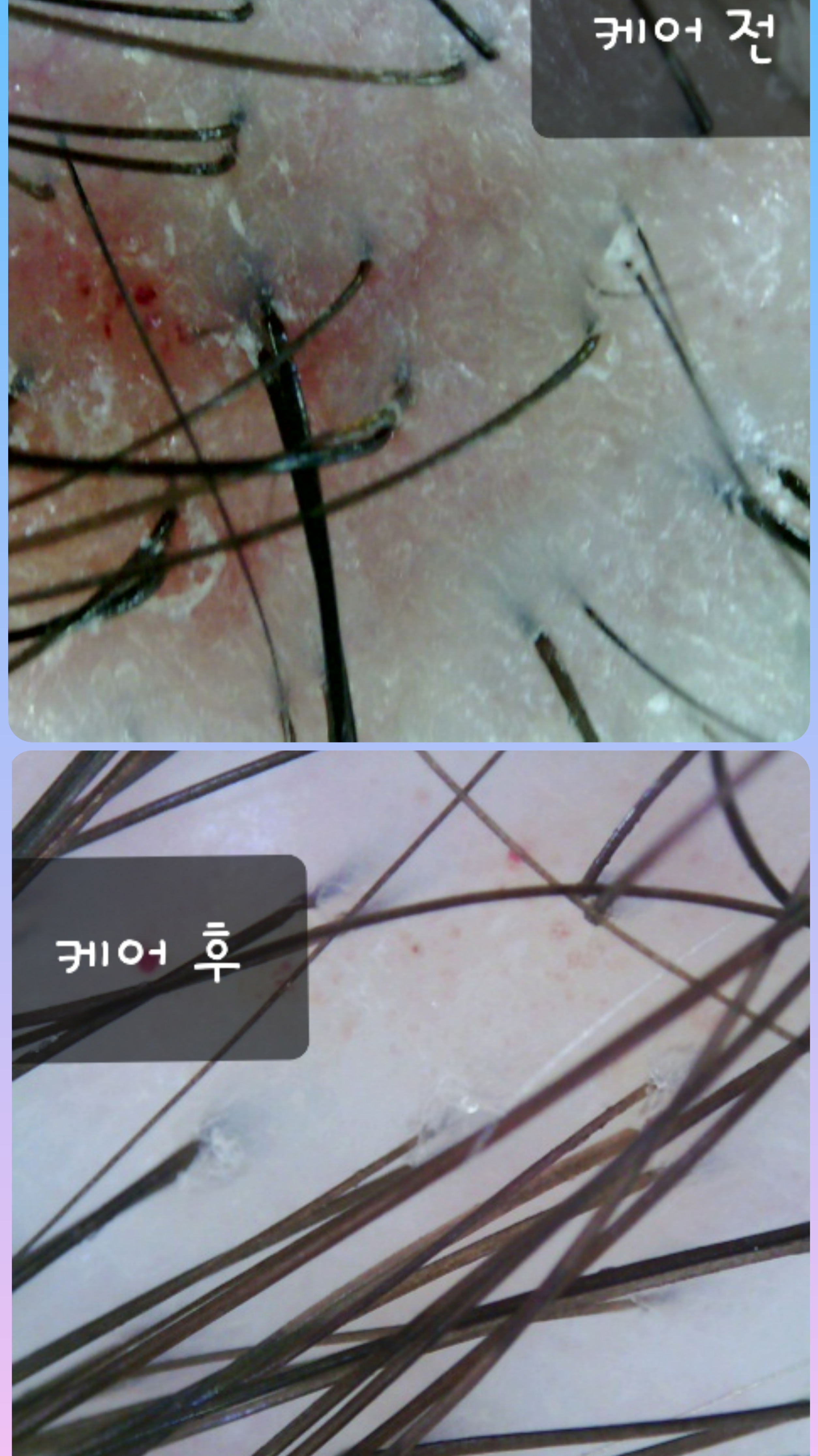 더 아름다움 대표 이미지