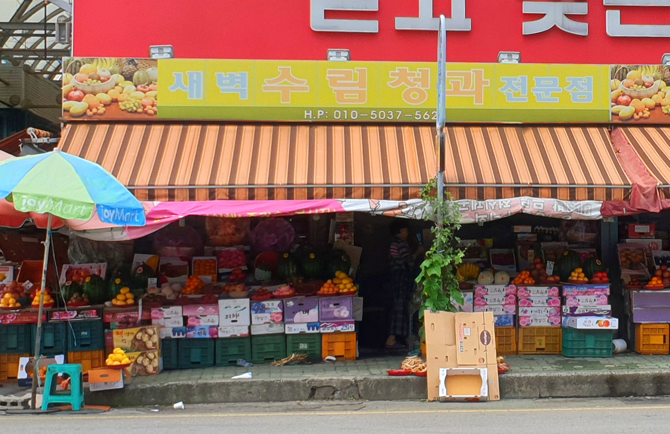 수림청과