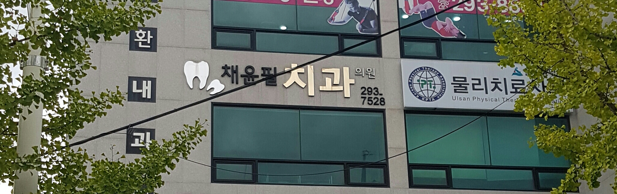 채윤필치과의원 대표 이미지