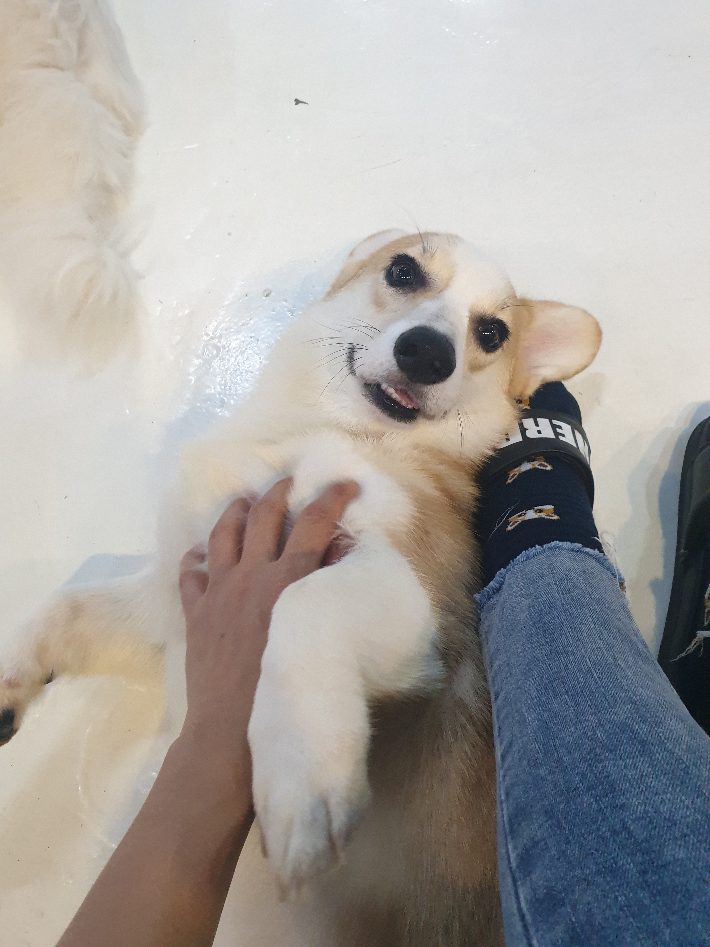 이미지