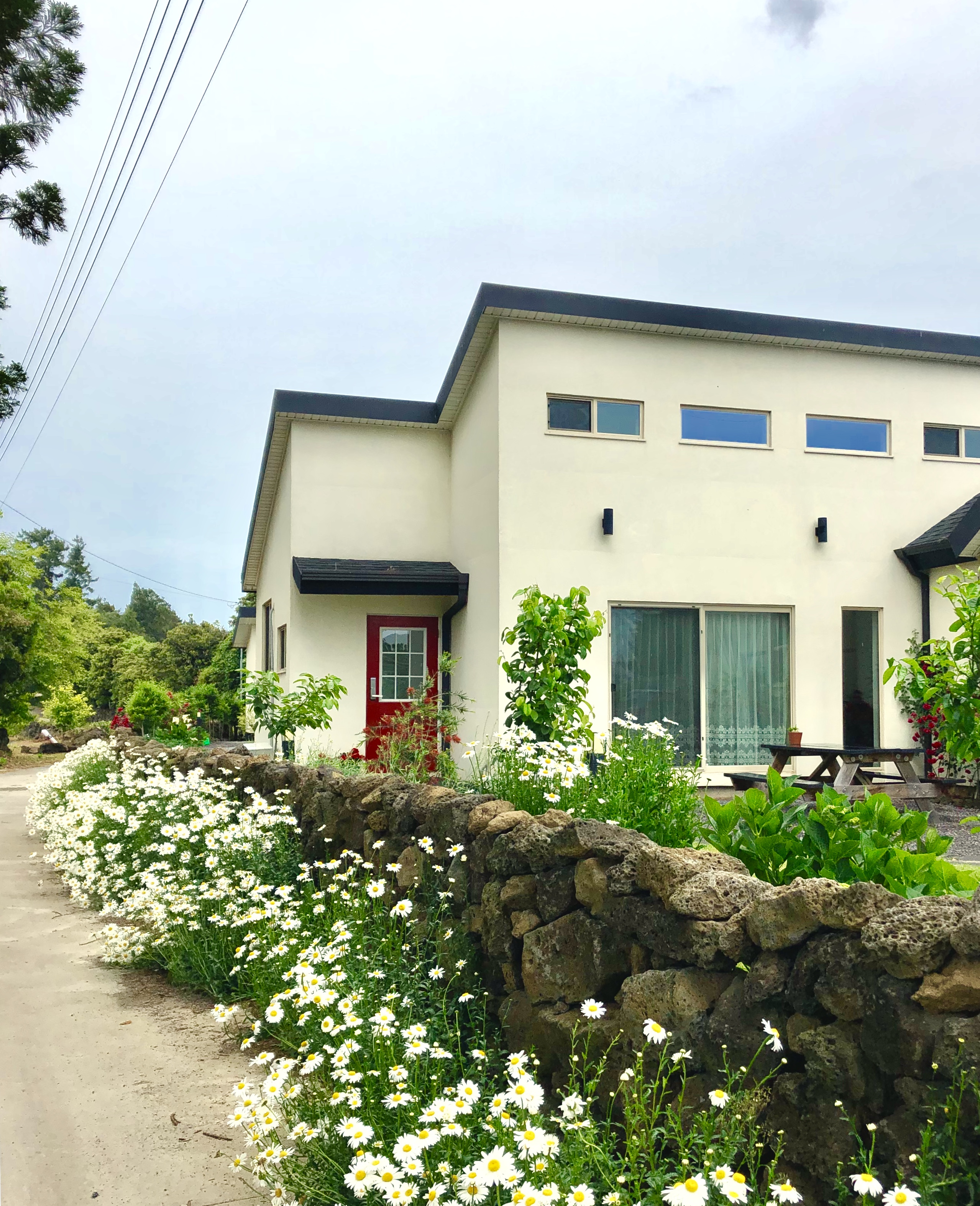 달뜬제주
