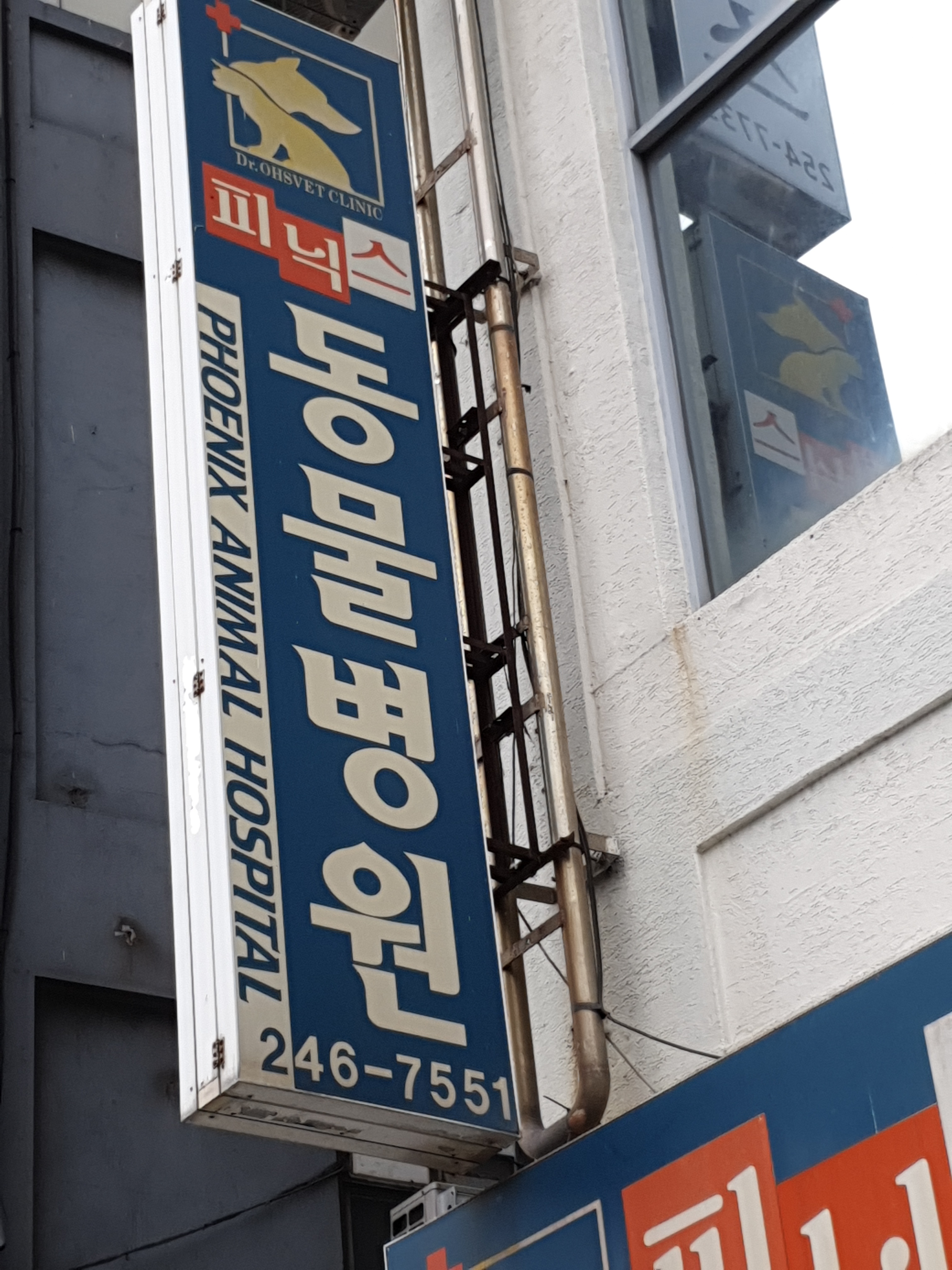 피닉스동물병원