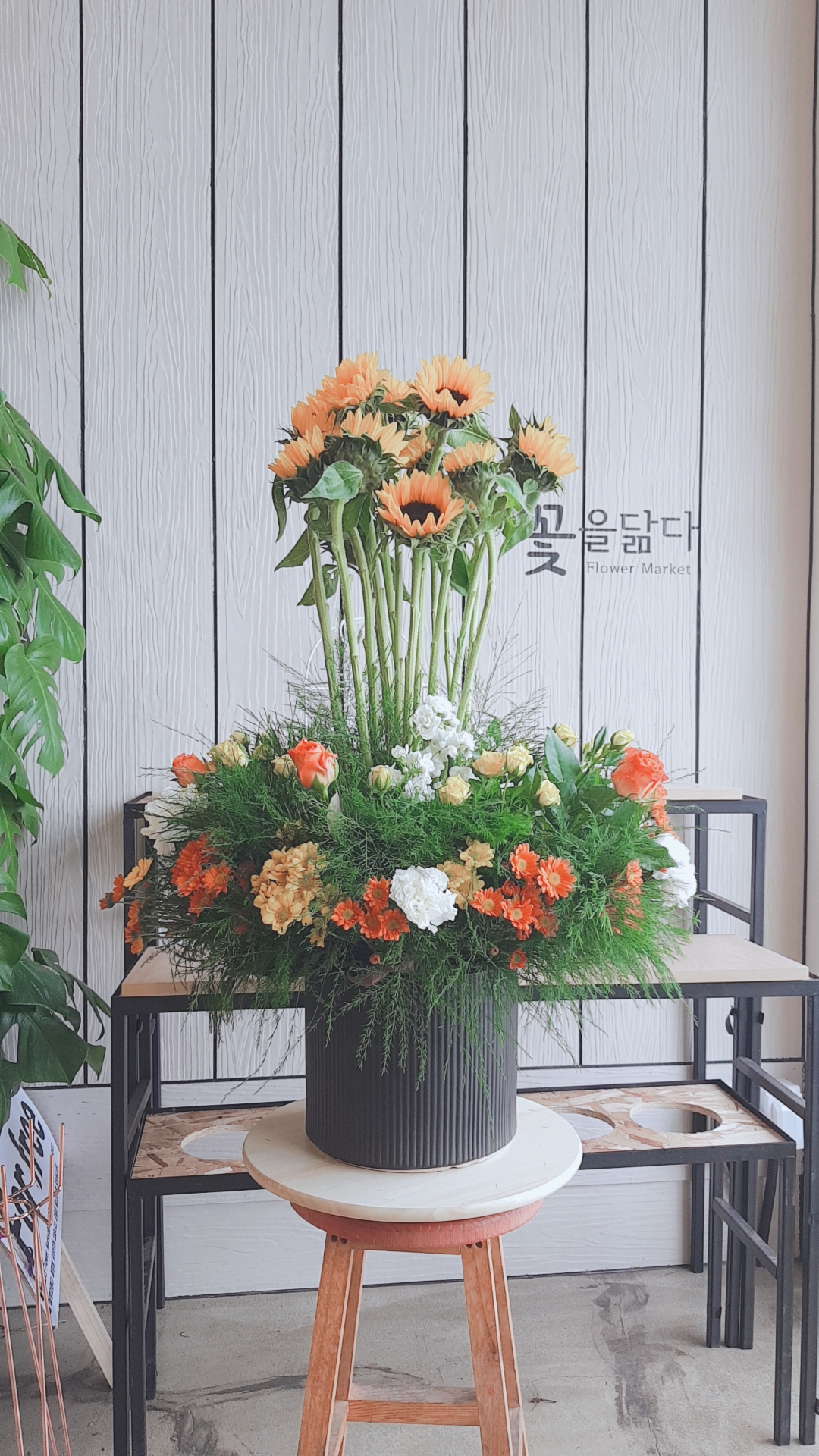 꽃닮 꽃집