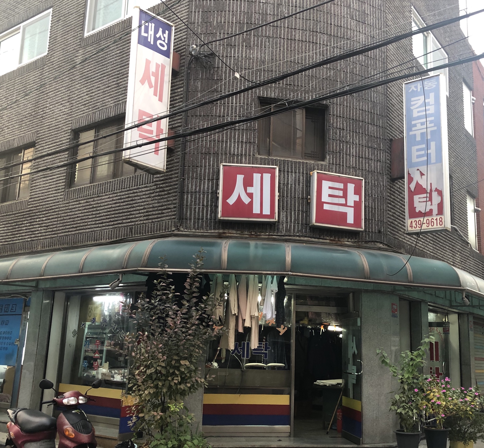 대성세탁