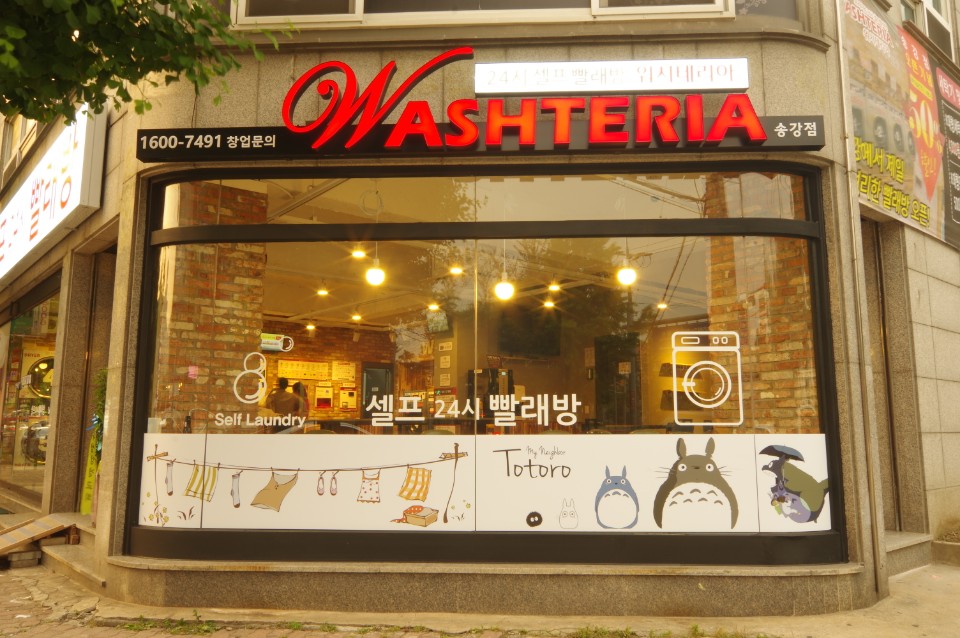 워시테리아 송강점