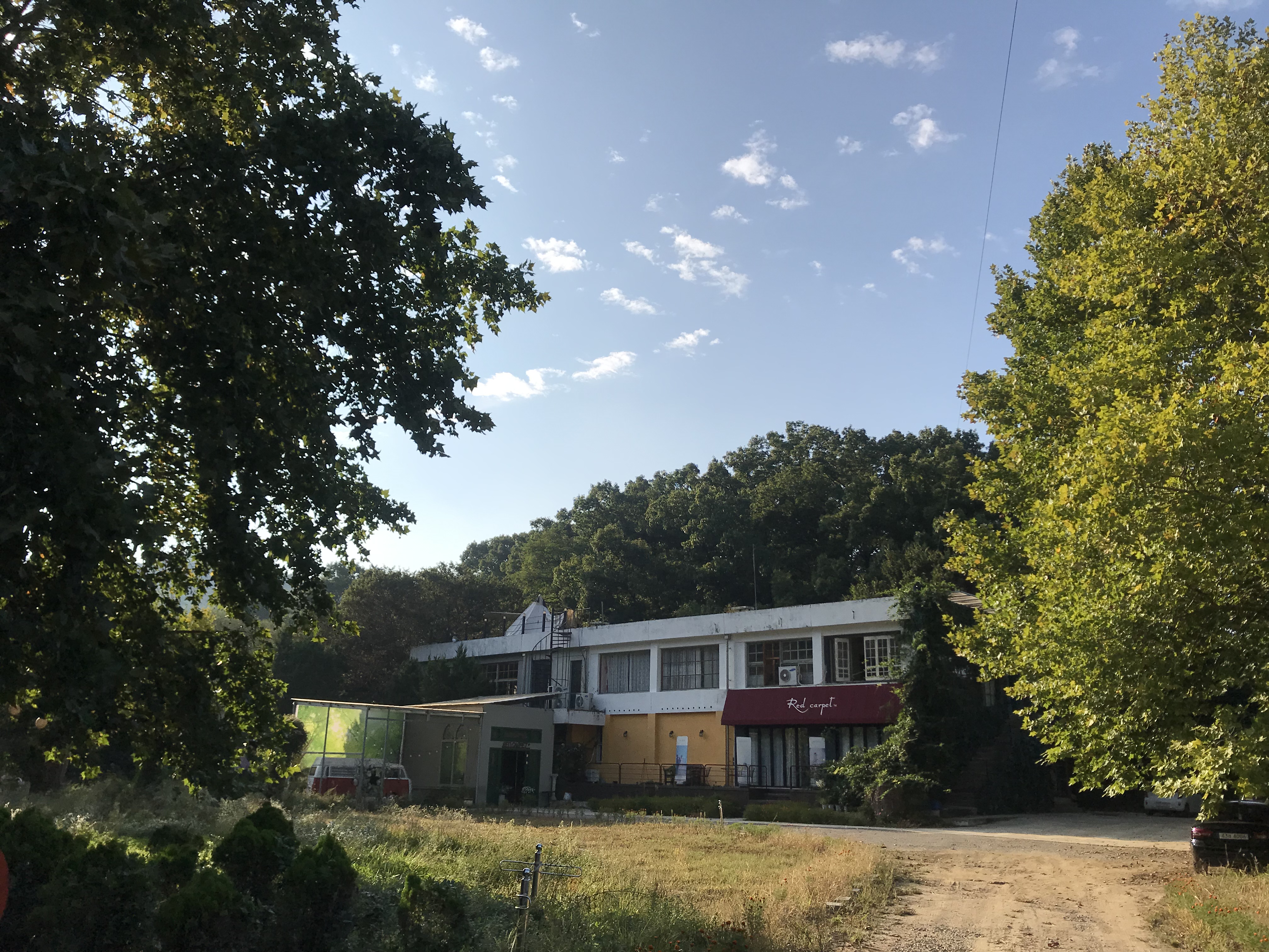 레드카펫촬영장