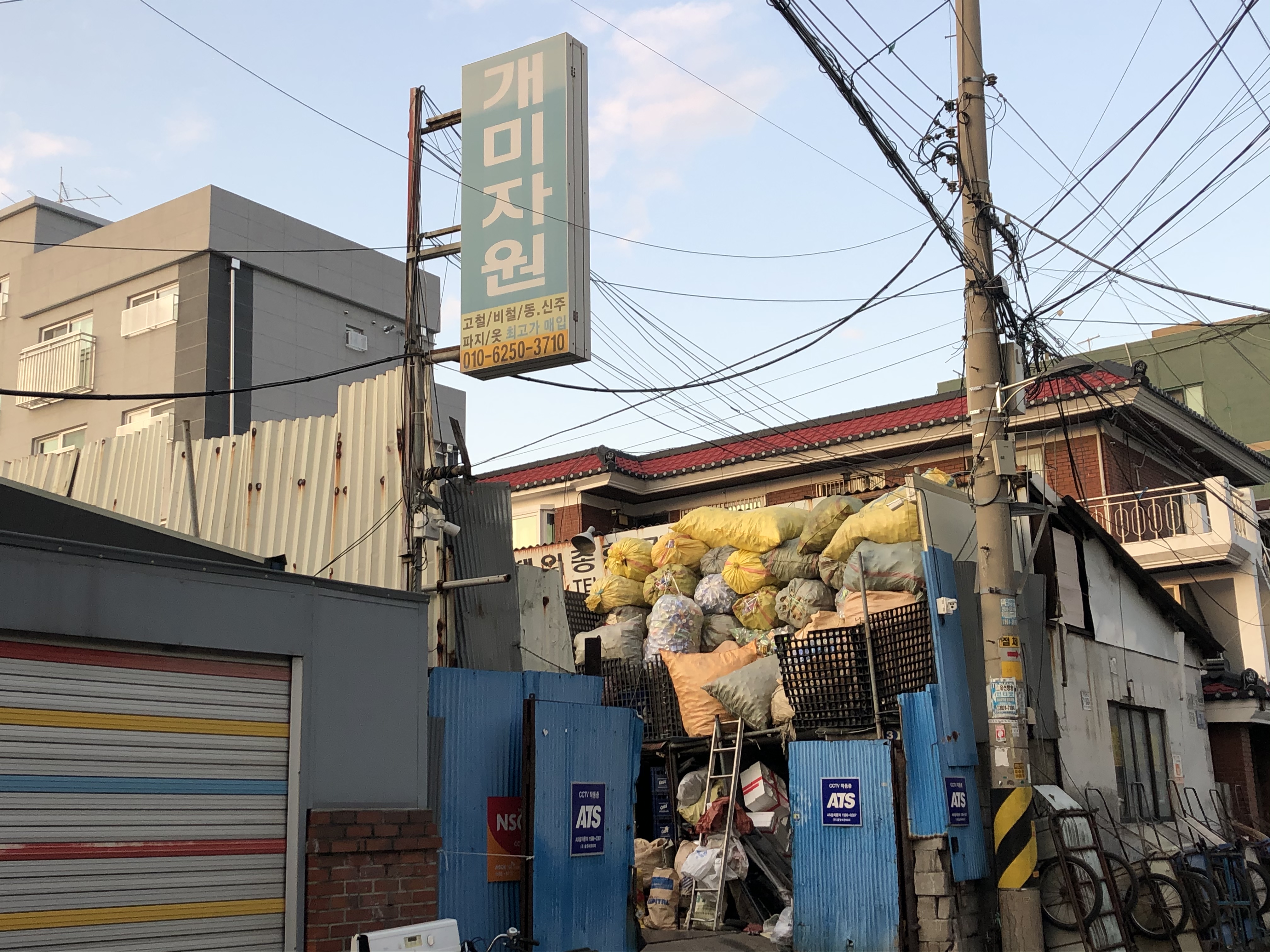 개미자원