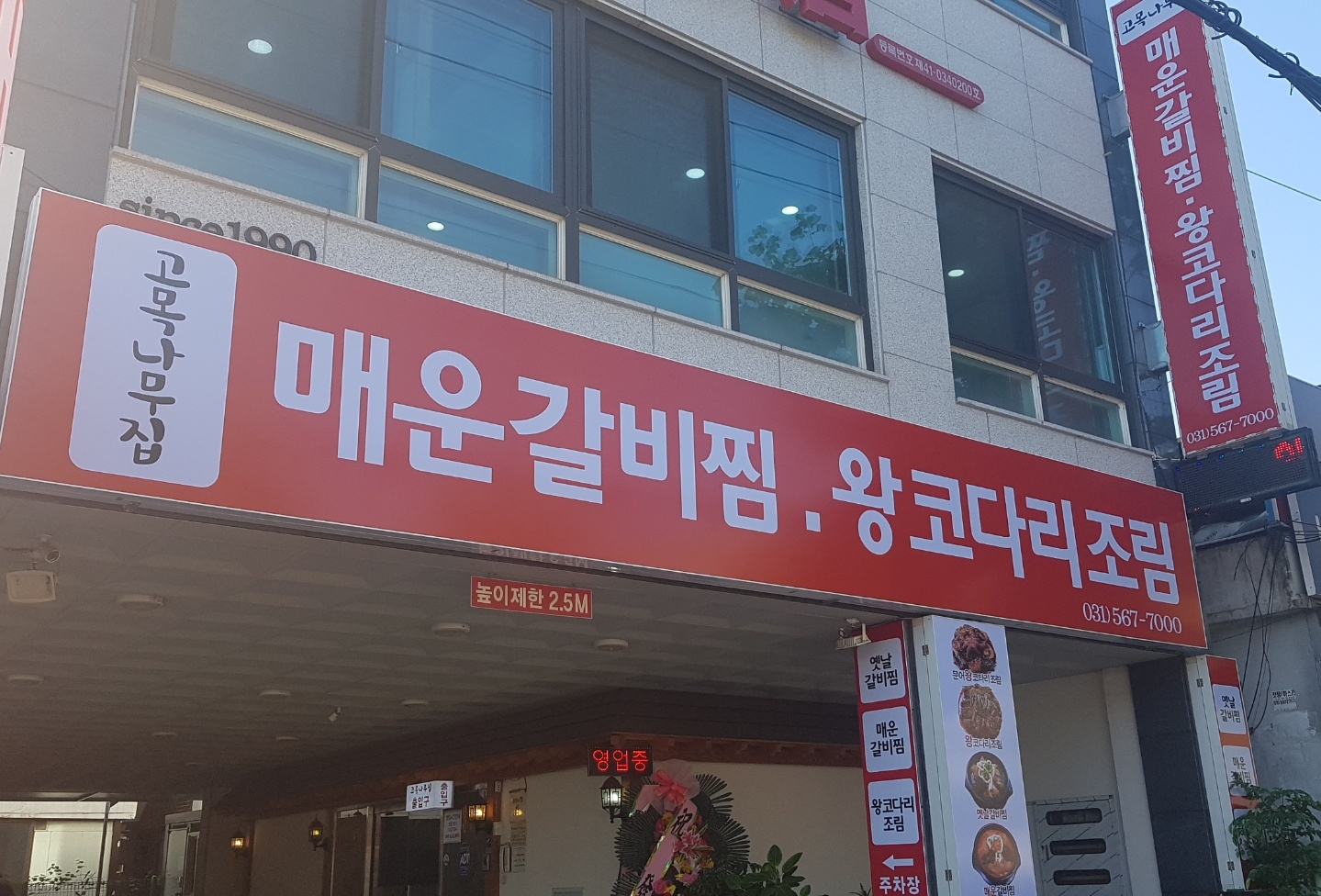 고목나무집
