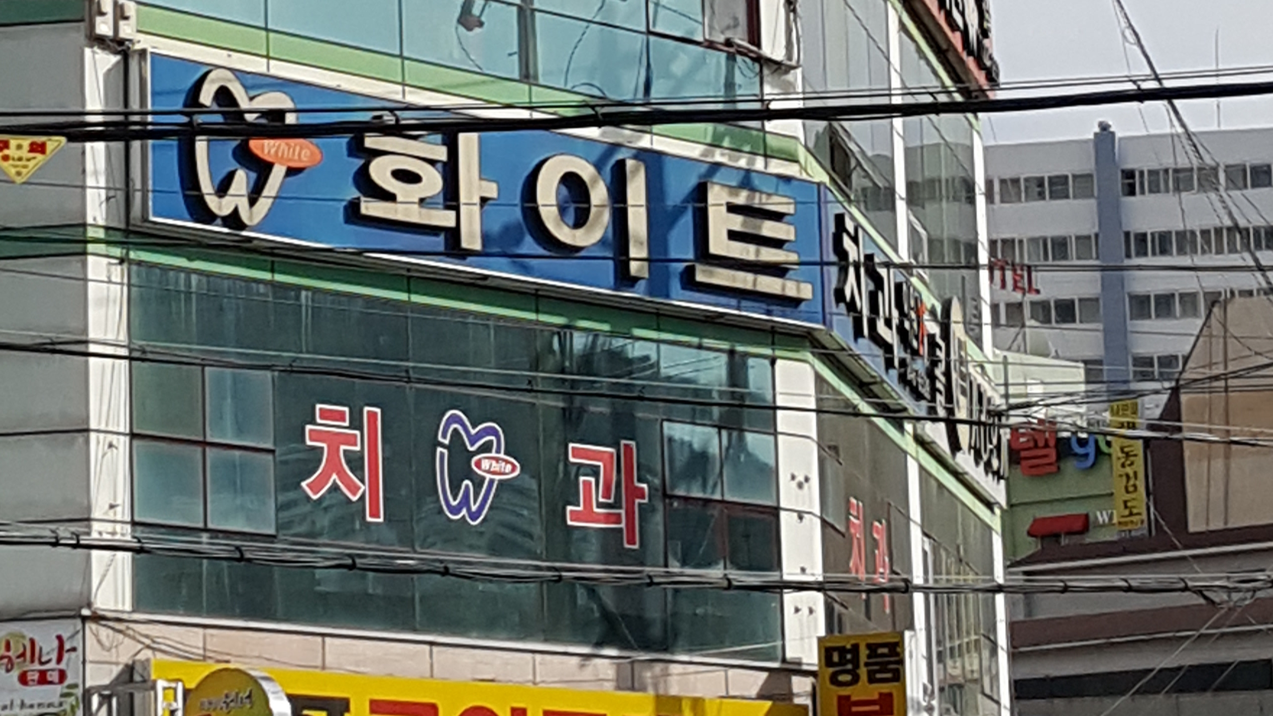 화이트치과의원