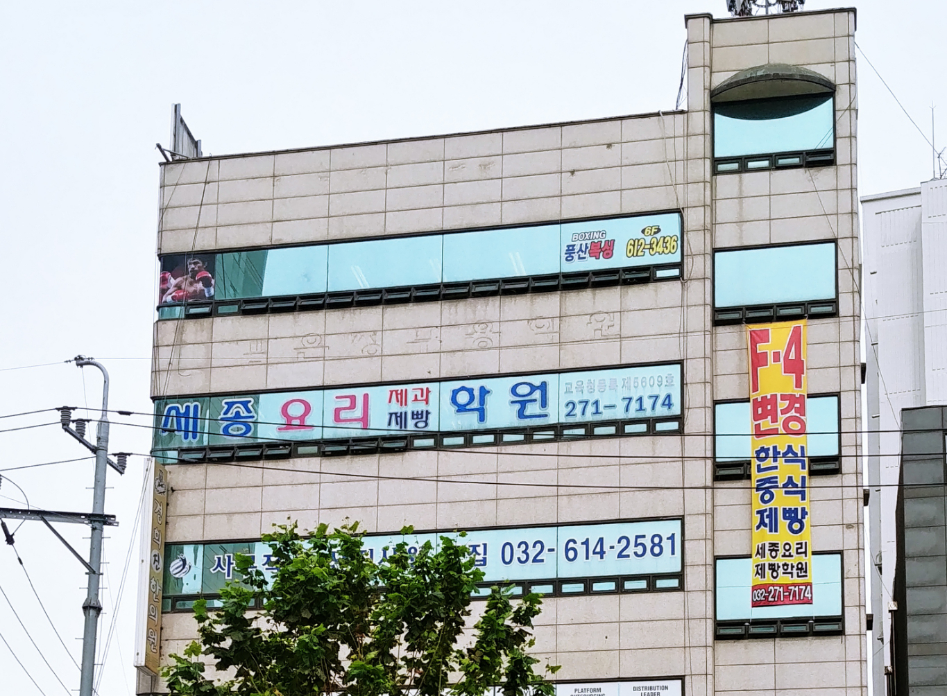 인천 남동구 제과학원추천업체 제과제빵 제과제빵자격증 베이킹학원 제과기능사 부천세종요리제과제빵학원