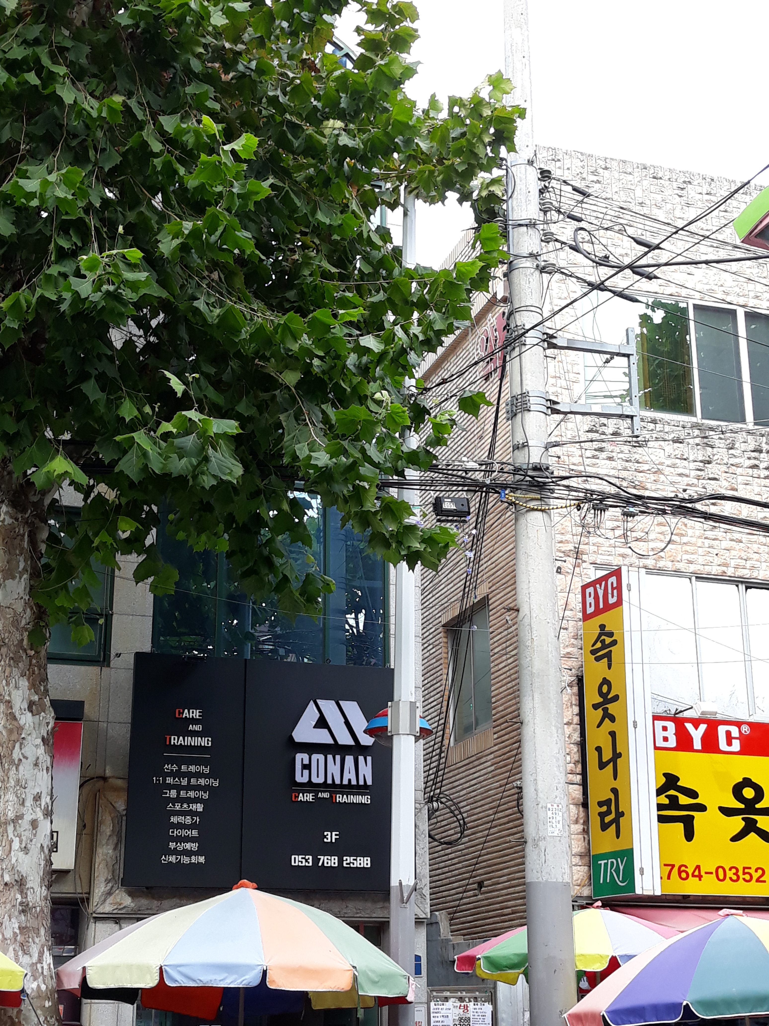 코난케어&트레이닝 대표 이미지