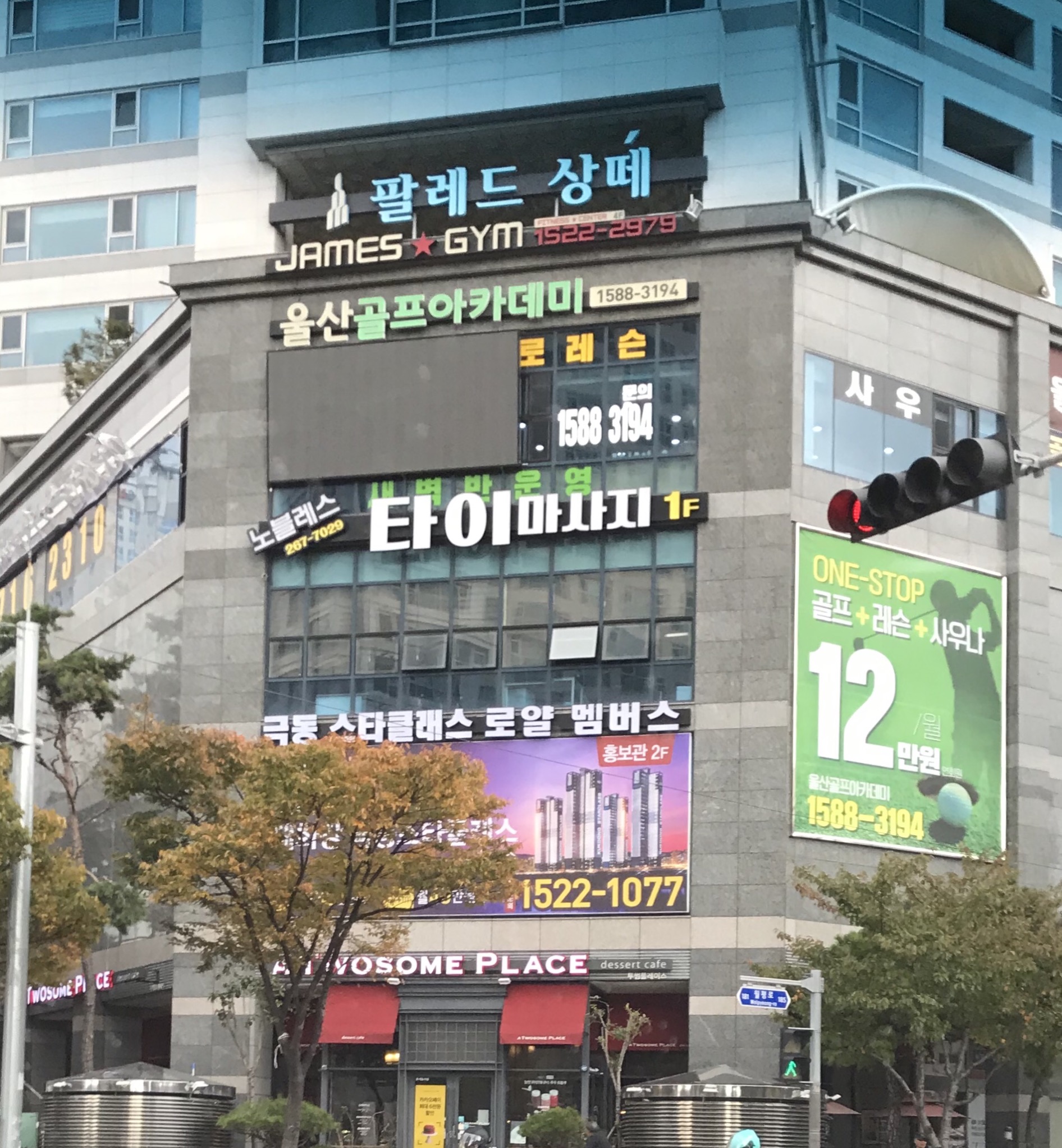 노블레스 photo 5