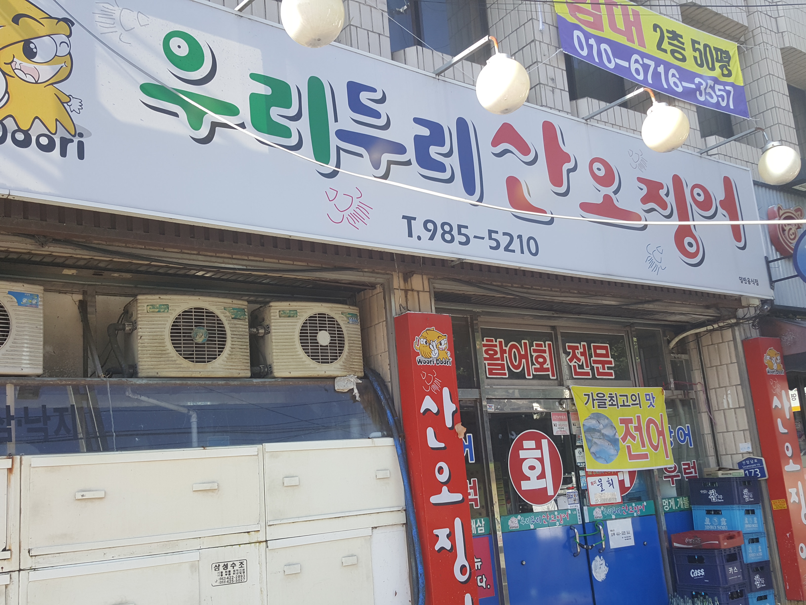 우리두리산오징어