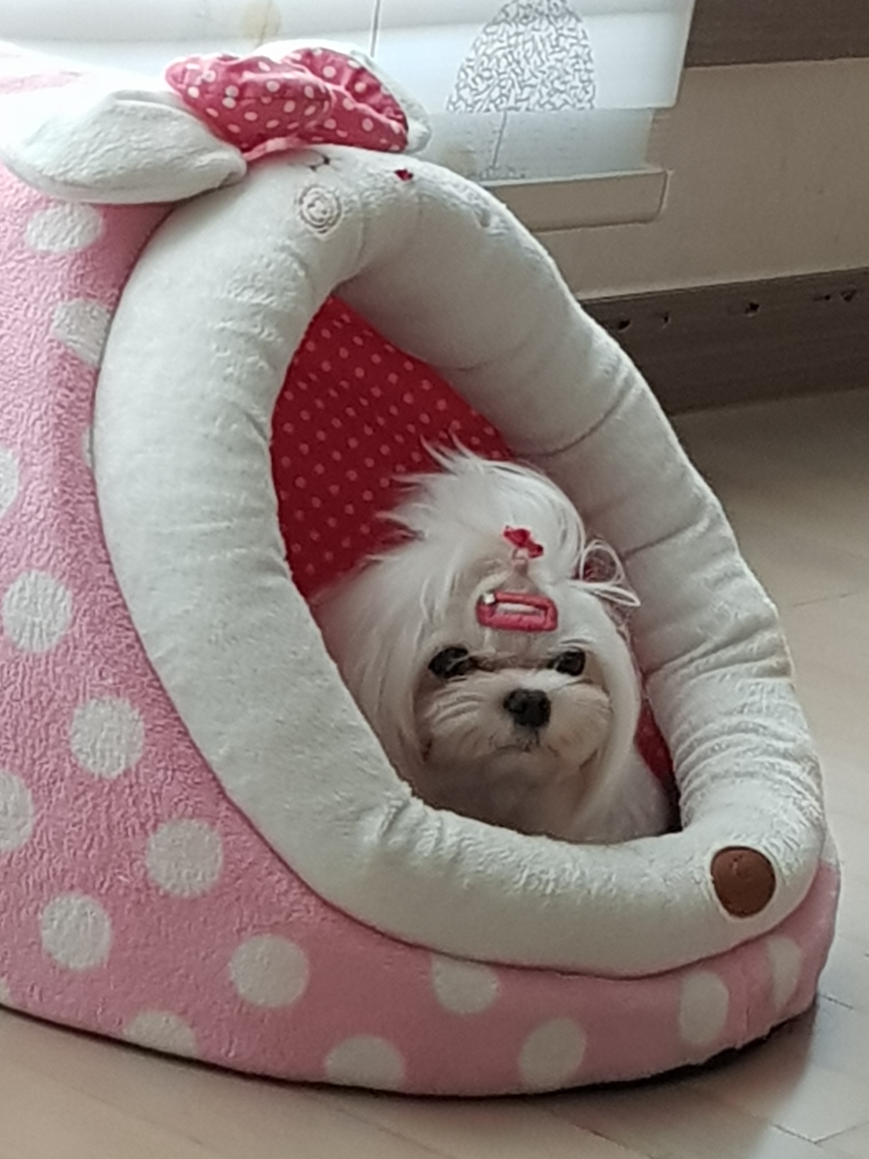 헤이독 대전점 대표 이미지