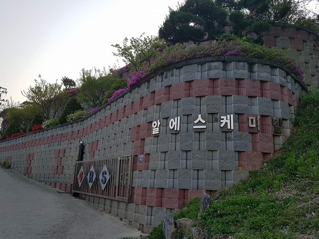 알에스케미칼입구