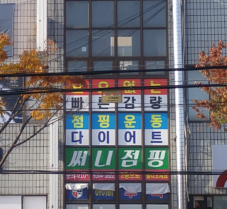 써니점핑