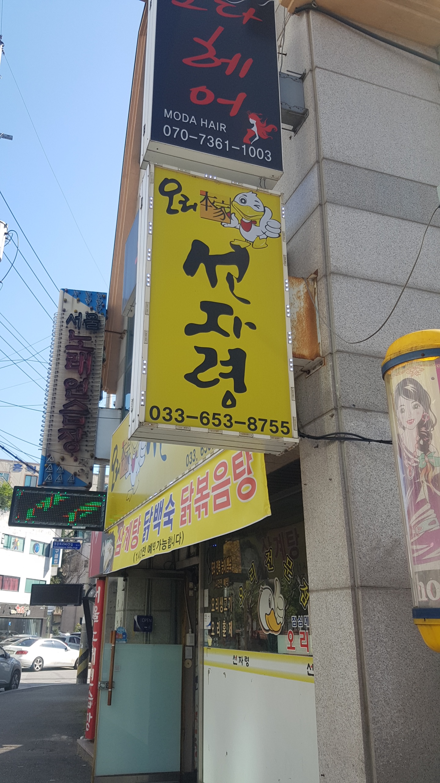 오리본가선자령 대표 이미지