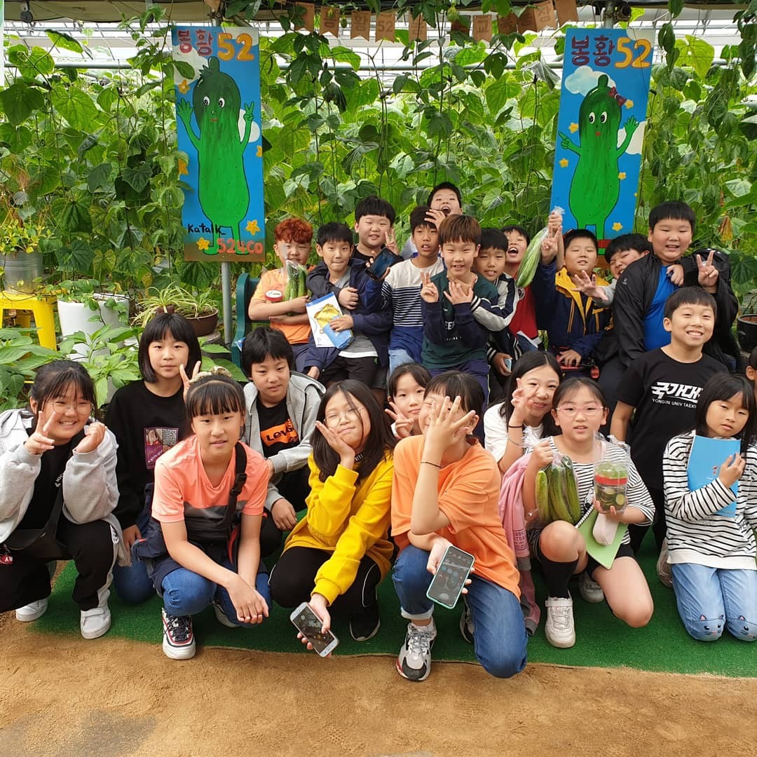 봉황52 농촌체험치유농장
