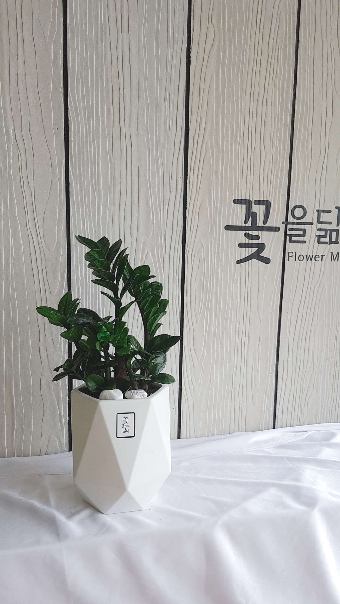 꽃닮 꽃집