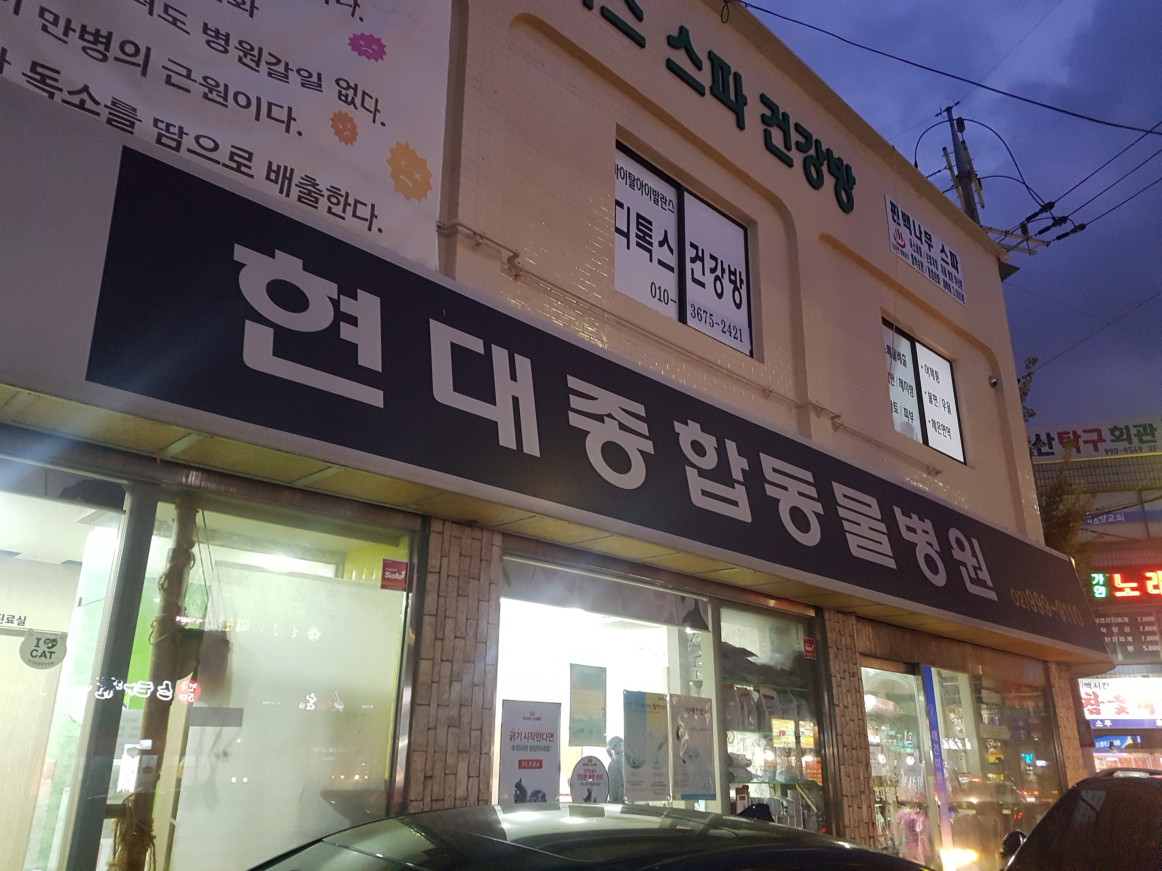 현대종합동물병원 대표 이미지