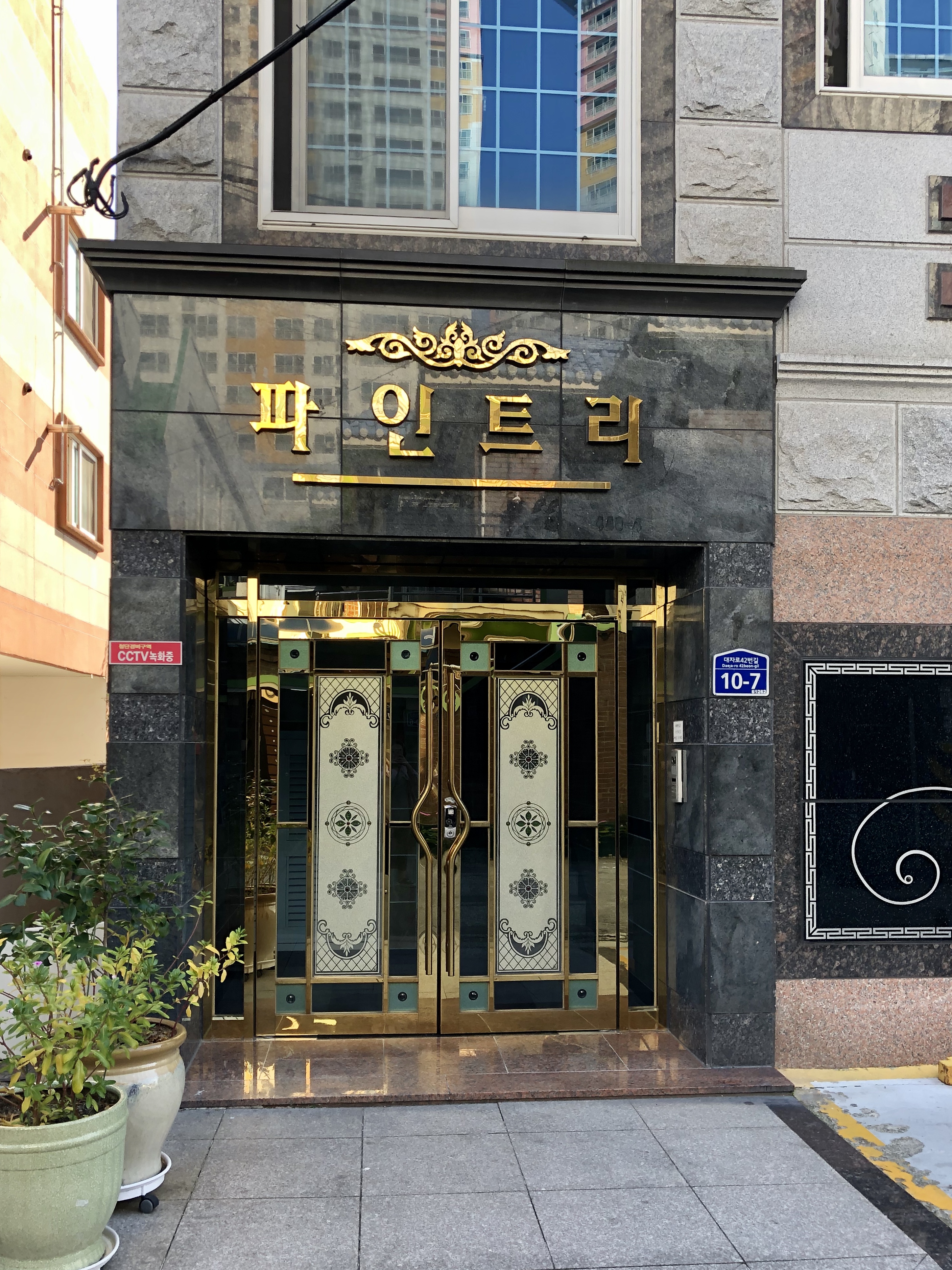 파인트리