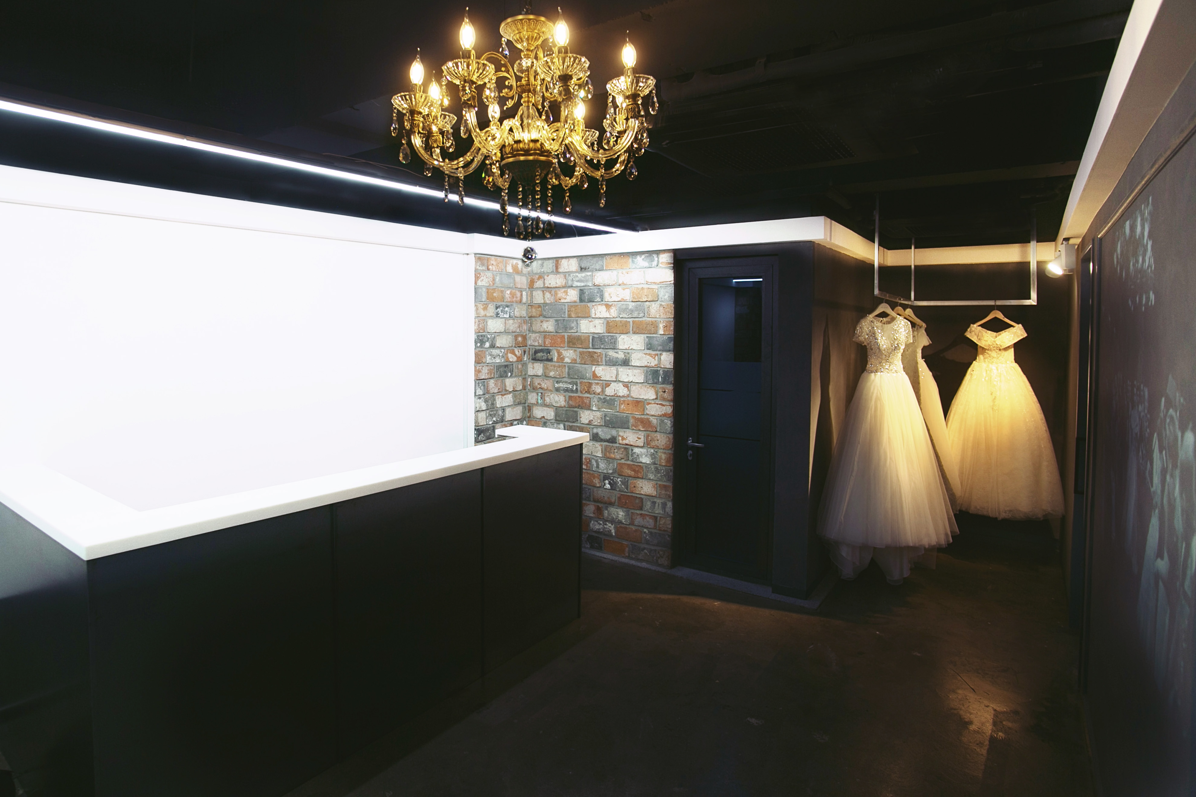 케이트 린 대표 이미지