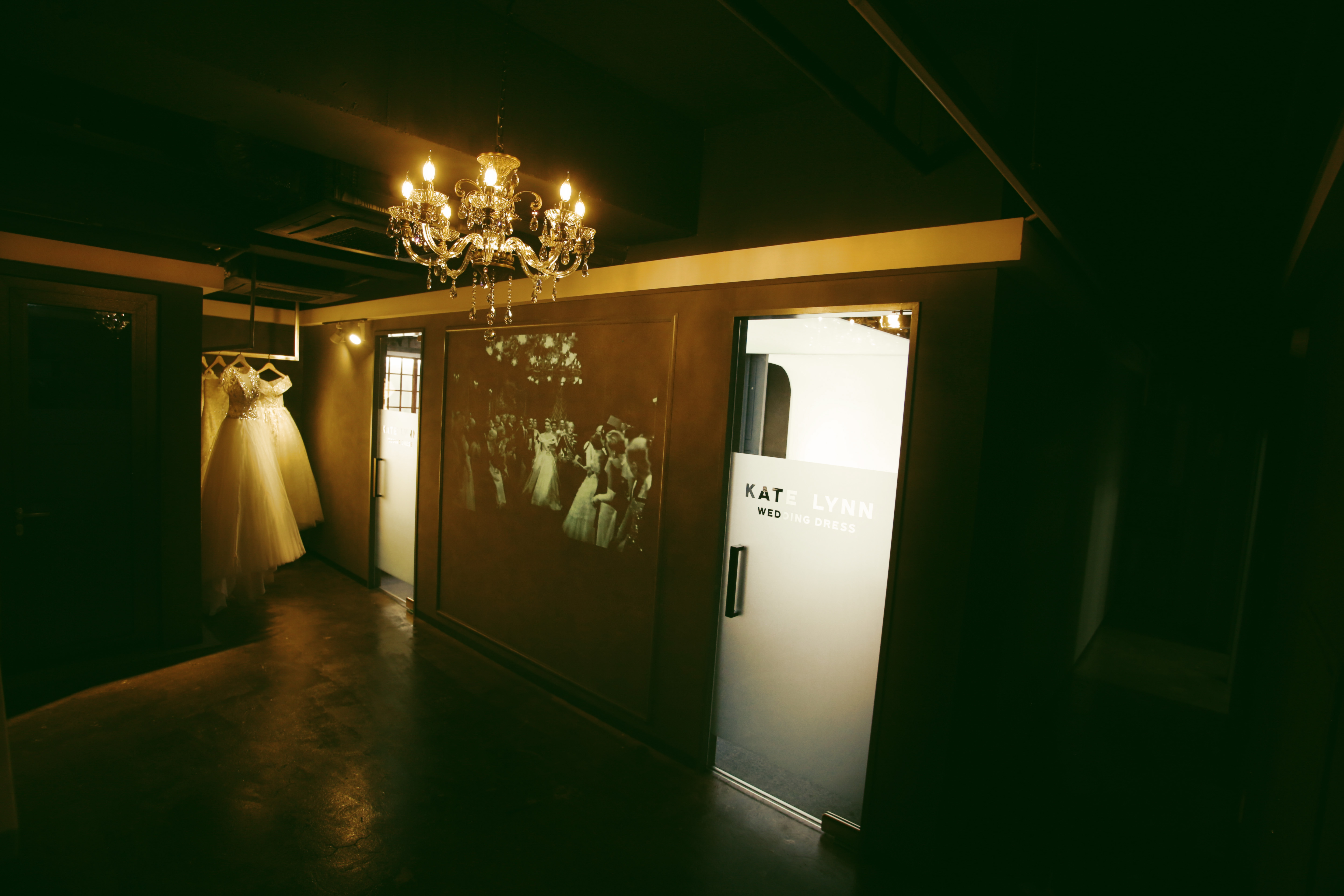 케이트 린 대표 이미지