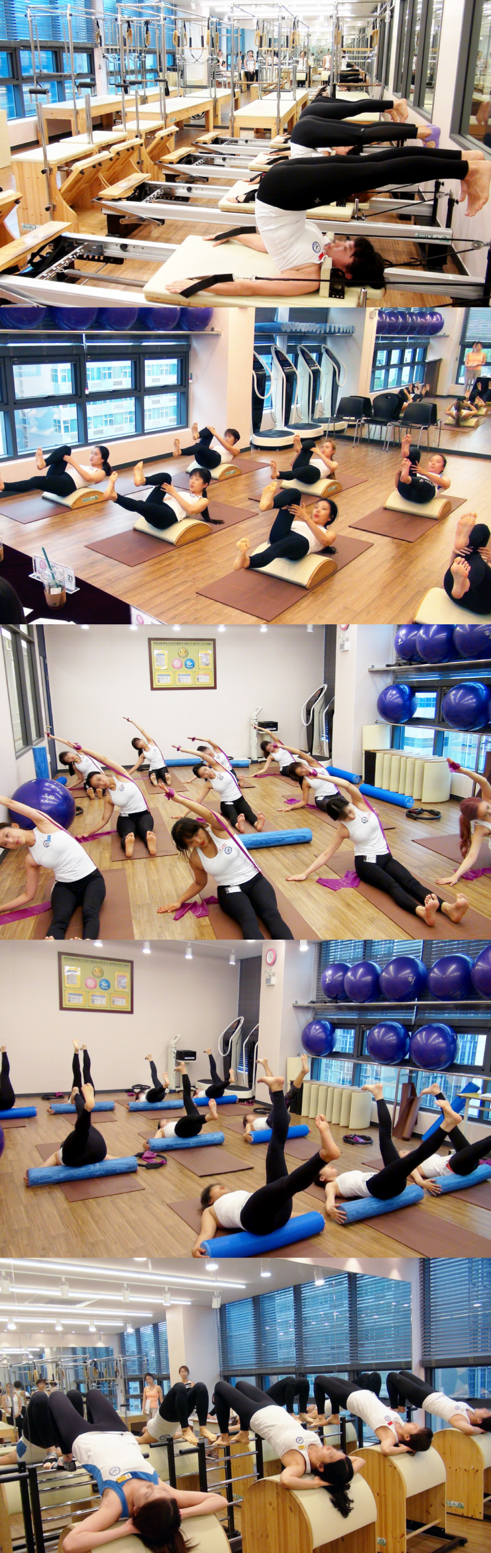 사단법인 대한요가지도자협회 대표 이미지